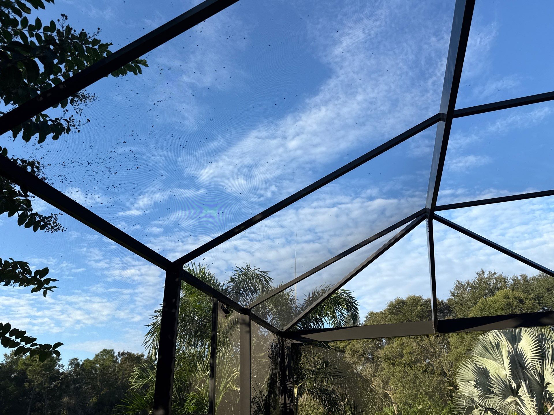 Pool Cage Cleaning | Rye Wilderness, Bradenton FL by Sunshine AquaWash