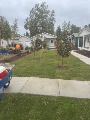 Project in Santa Rosa