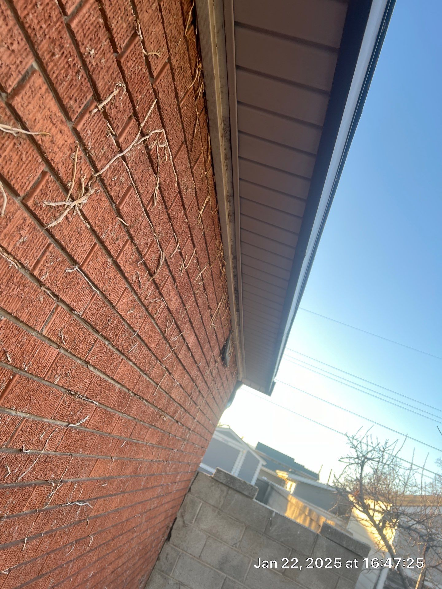 Project in Orem by Emerald Gotcha Gutters 
