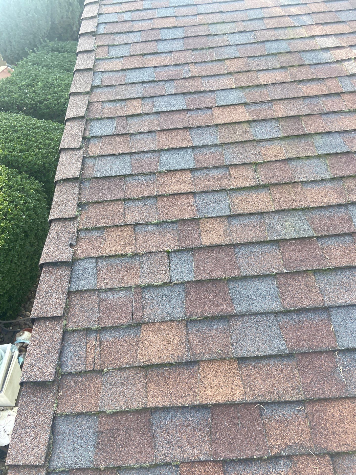 Roof Rejuvenation using Roof Maxx Treatment by Roof Maxx of Folsom