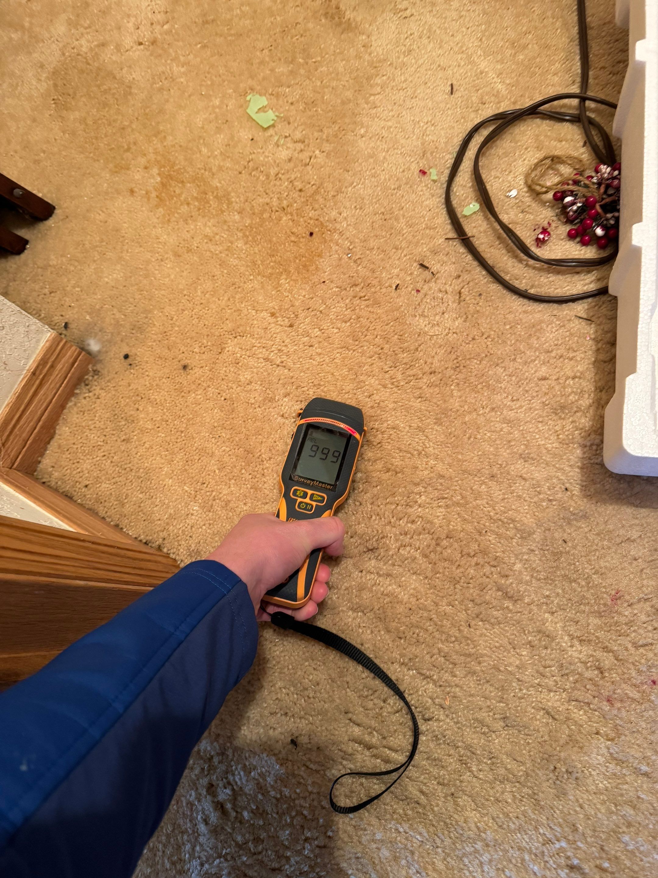 Water Damage in Wheat Ridge, CO by Alpha Restoration 
