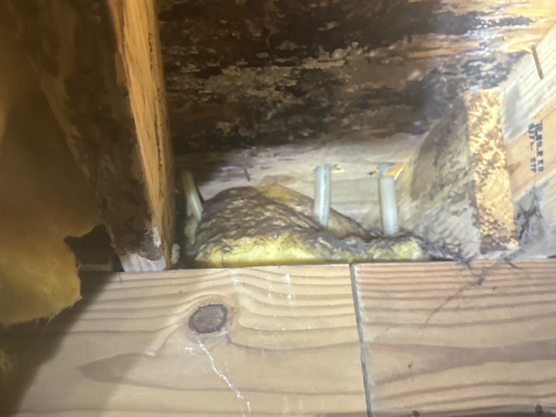 Project in Suffolk by Patriot Crawl Space Repairs