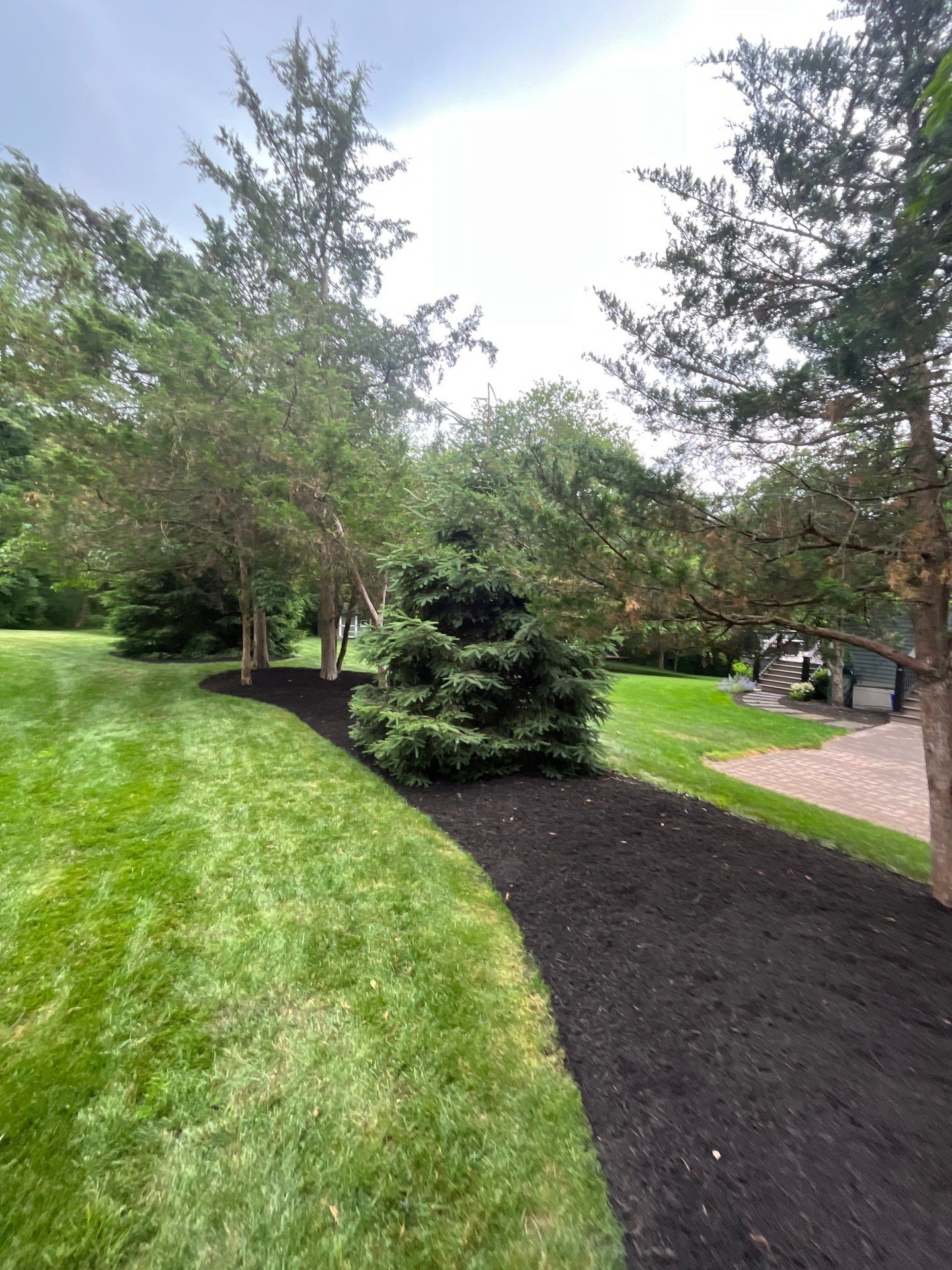 Comprehensive Shrub and Ornamental Bed Maintenance in Basking Ridge by Ants Plants