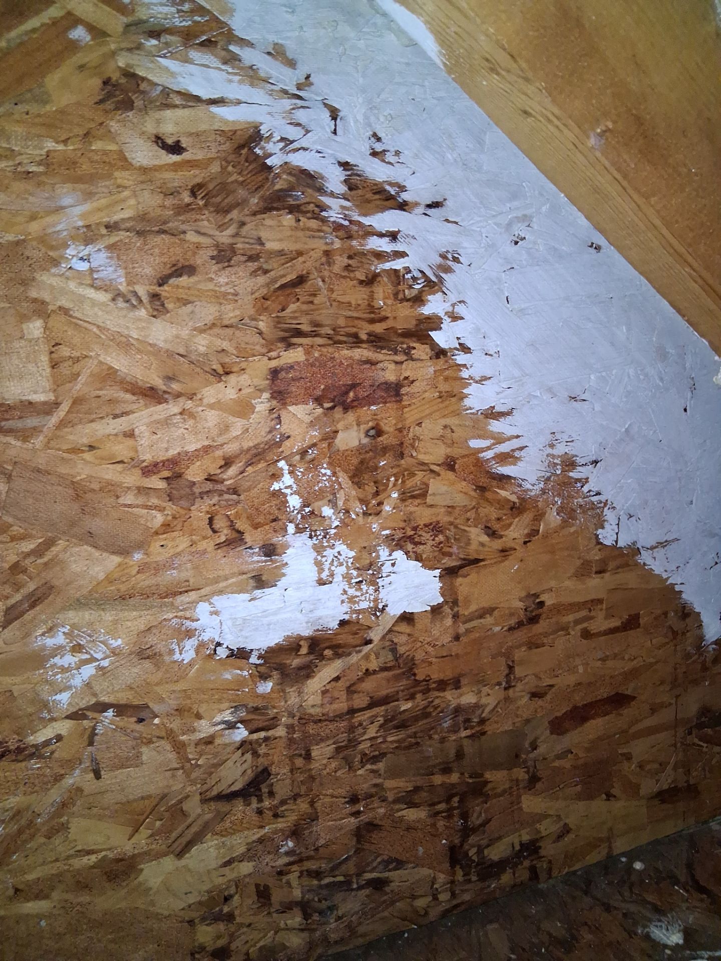 Attic Insulation and Repair by Toledo Basement Repair