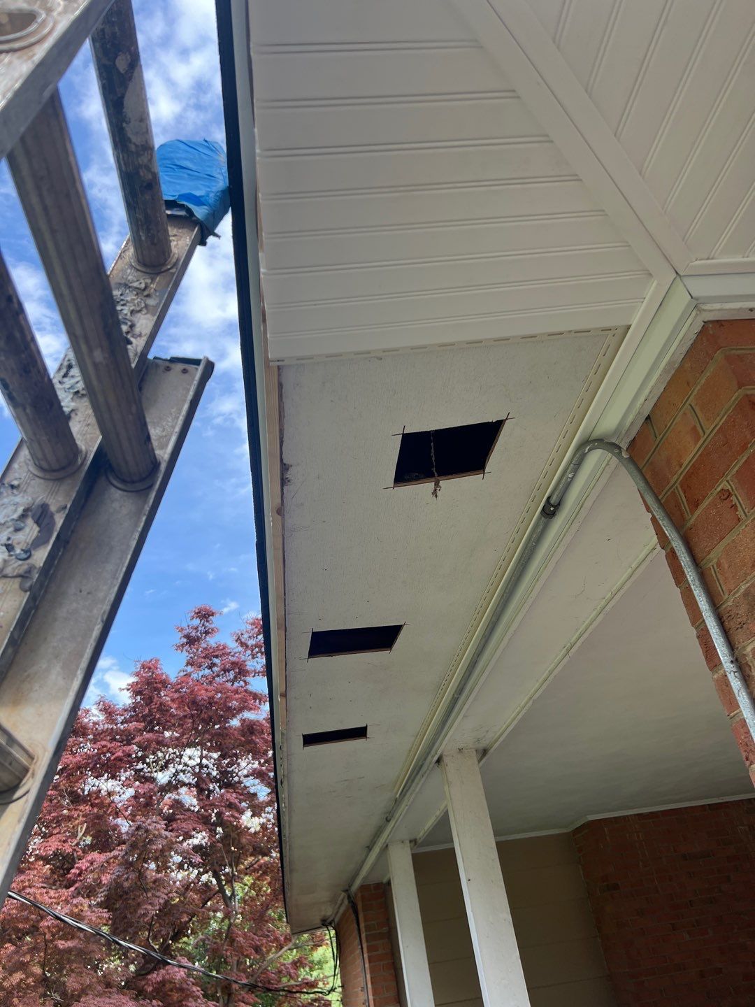 Arlington: Multi-Trade Exterior Remodel by RM Banning, Inc.