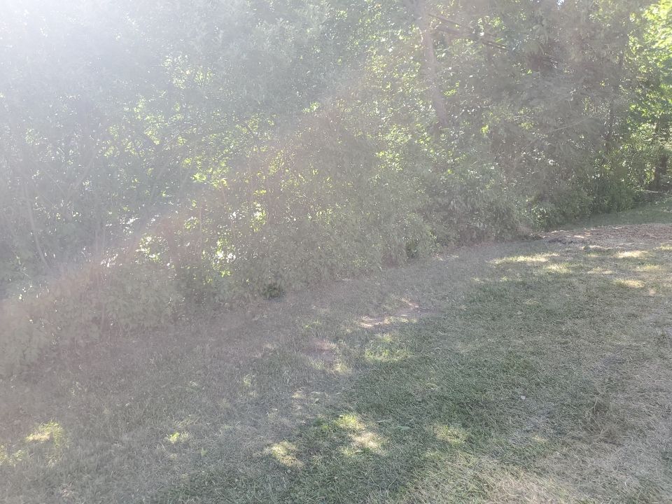 Tree Removal using Tree Removal by Mike Jones & Sons Tree Service LLC 