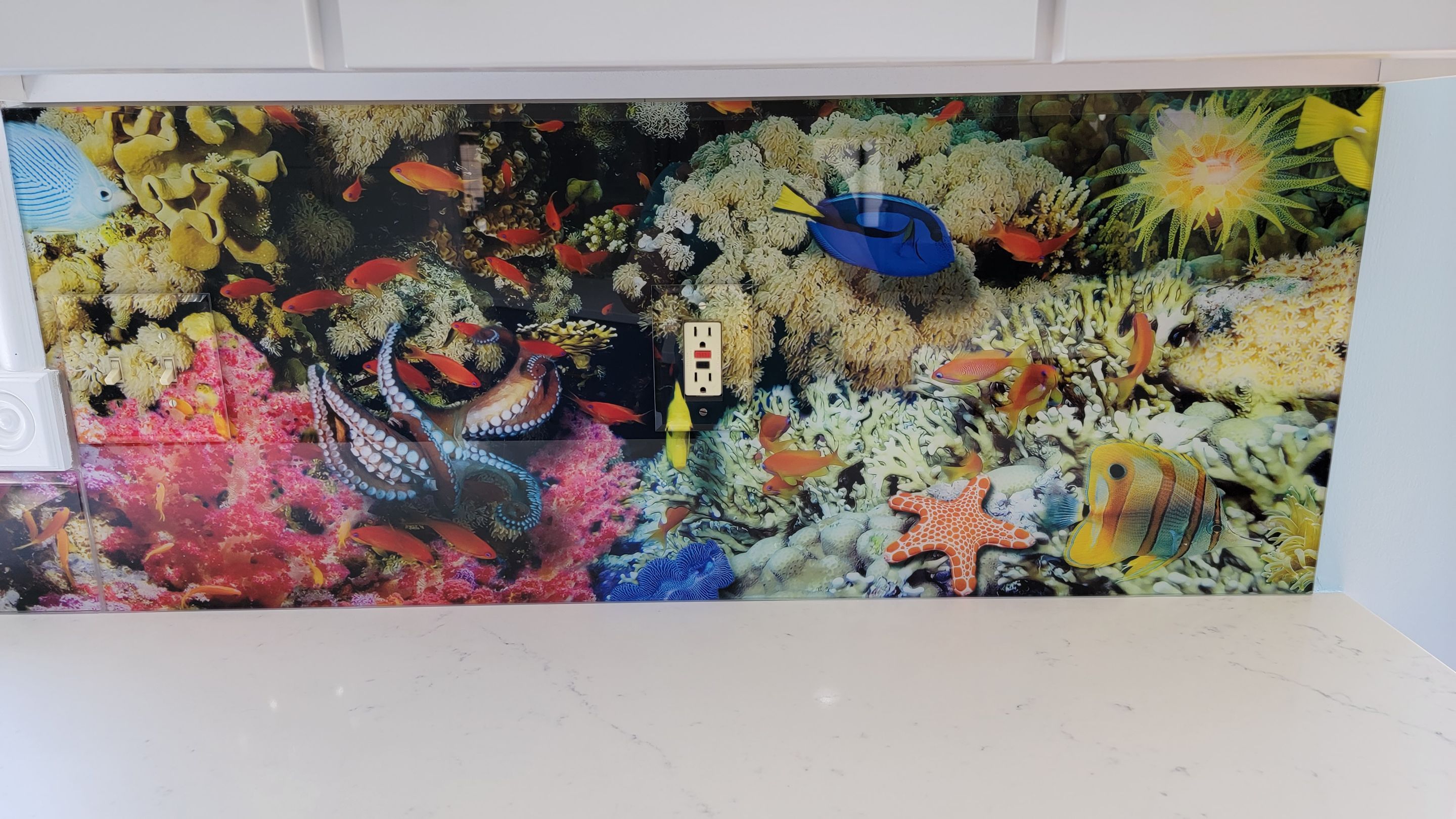 IMAGIO under the sea solid glass kitchen backsplash by IMAGIO