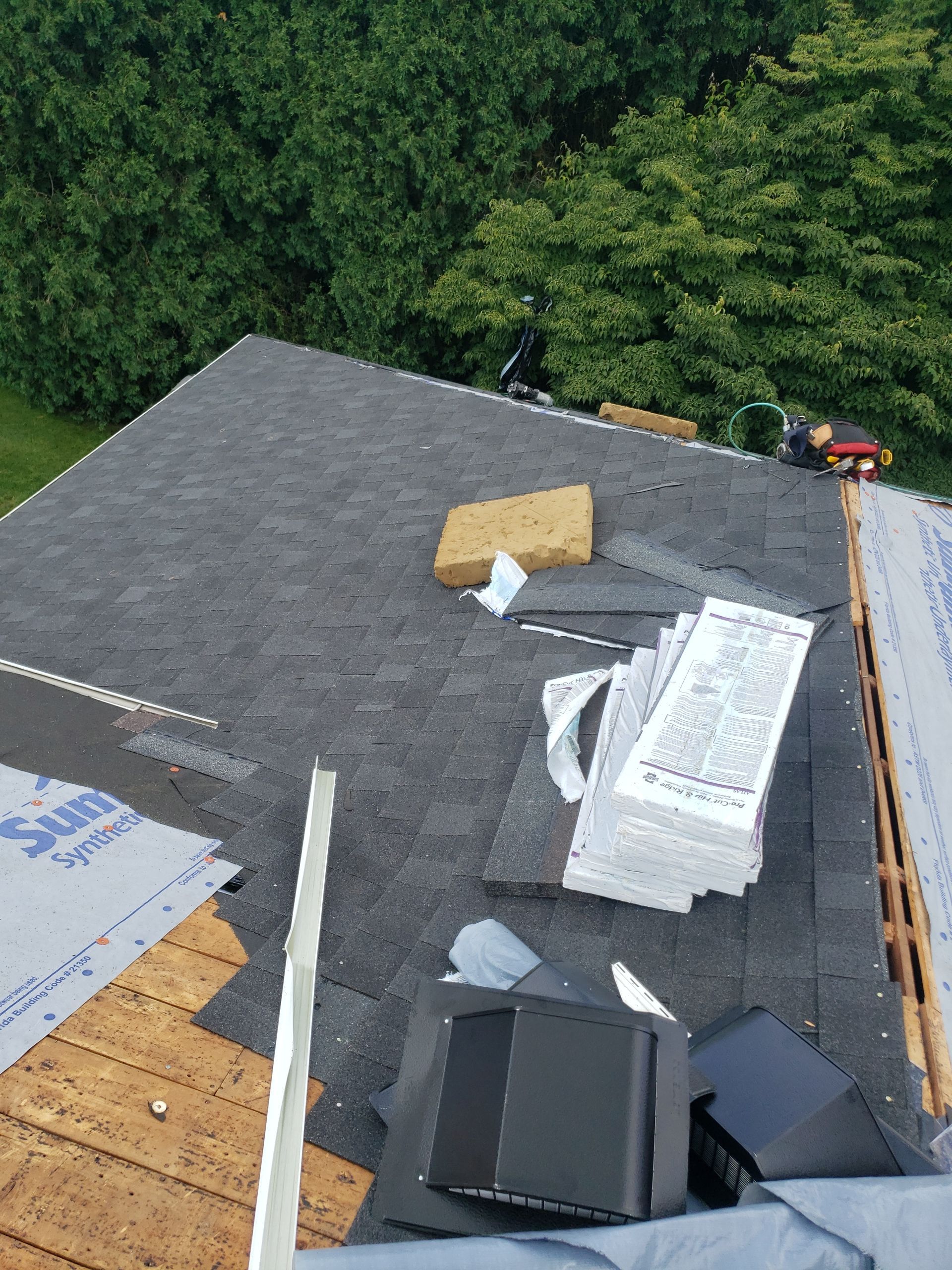 ATLAS PINNACLE COLOR: PRISTINE SCOTCHGARD BLACK SHADOW DRIP EDGE: WHITE by Eagle Eye Roofing