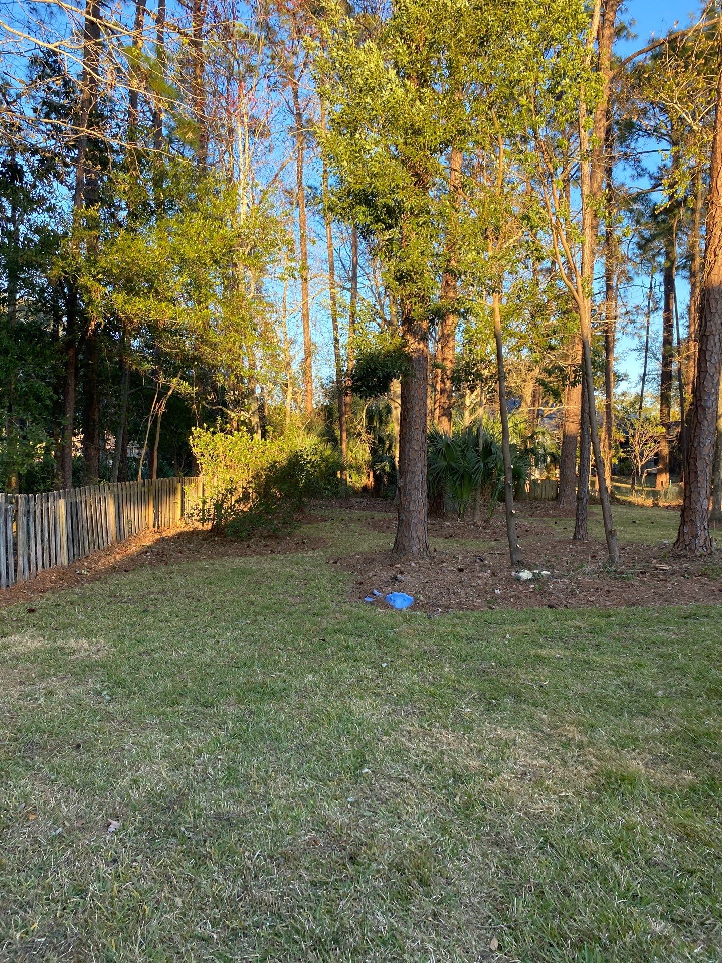 Deerwood Resident | Tree Removal & Clean-Up by ProGreen Services