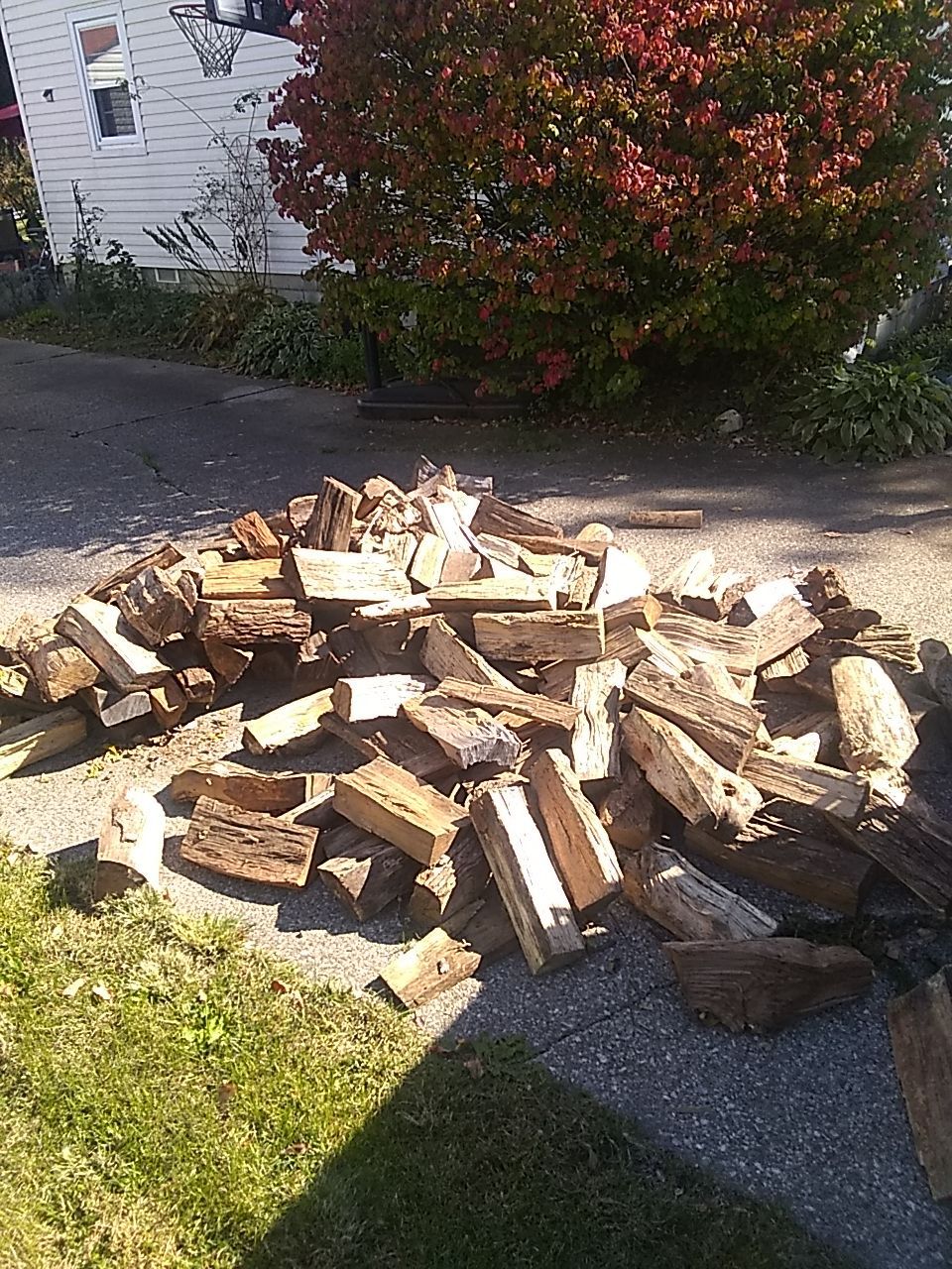 Firewood Delivery  using Seasoned Firewood by Mike Jones & Sons Tree Service LLC 