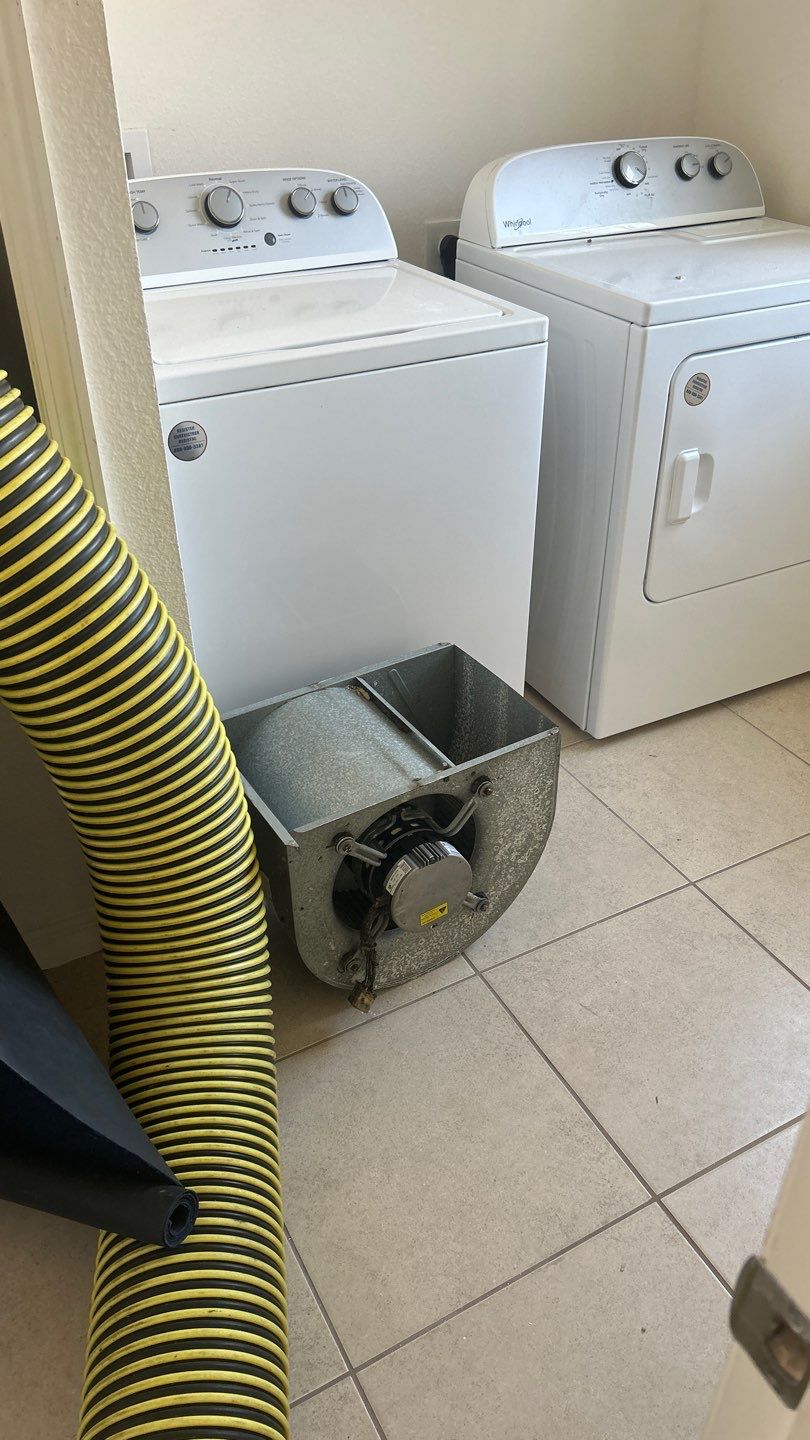 Air Duct Cleaning in Clermont by Hygienic Air, Inc