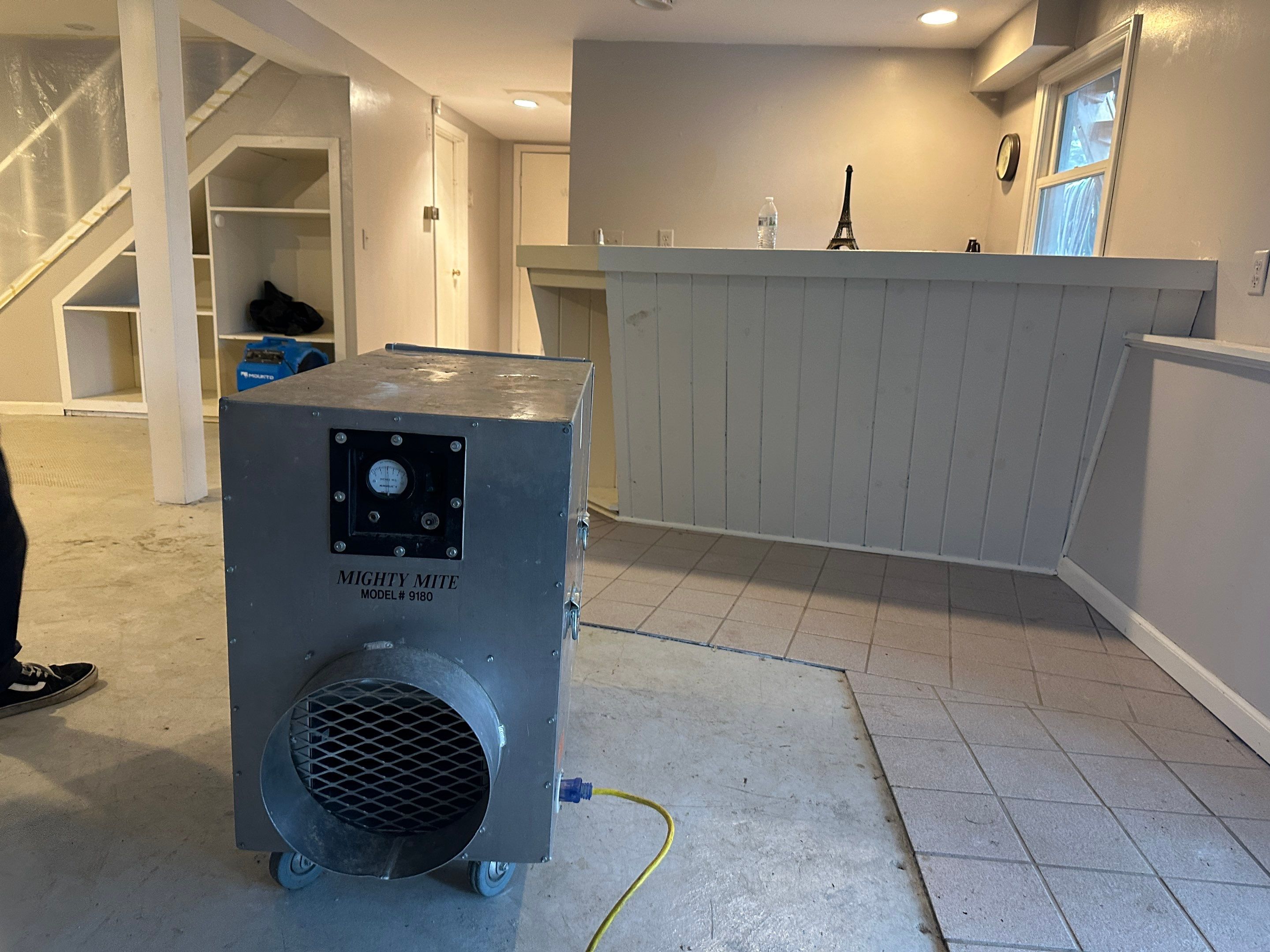 Basement Mold Remediation by Home Guarantee, LLC