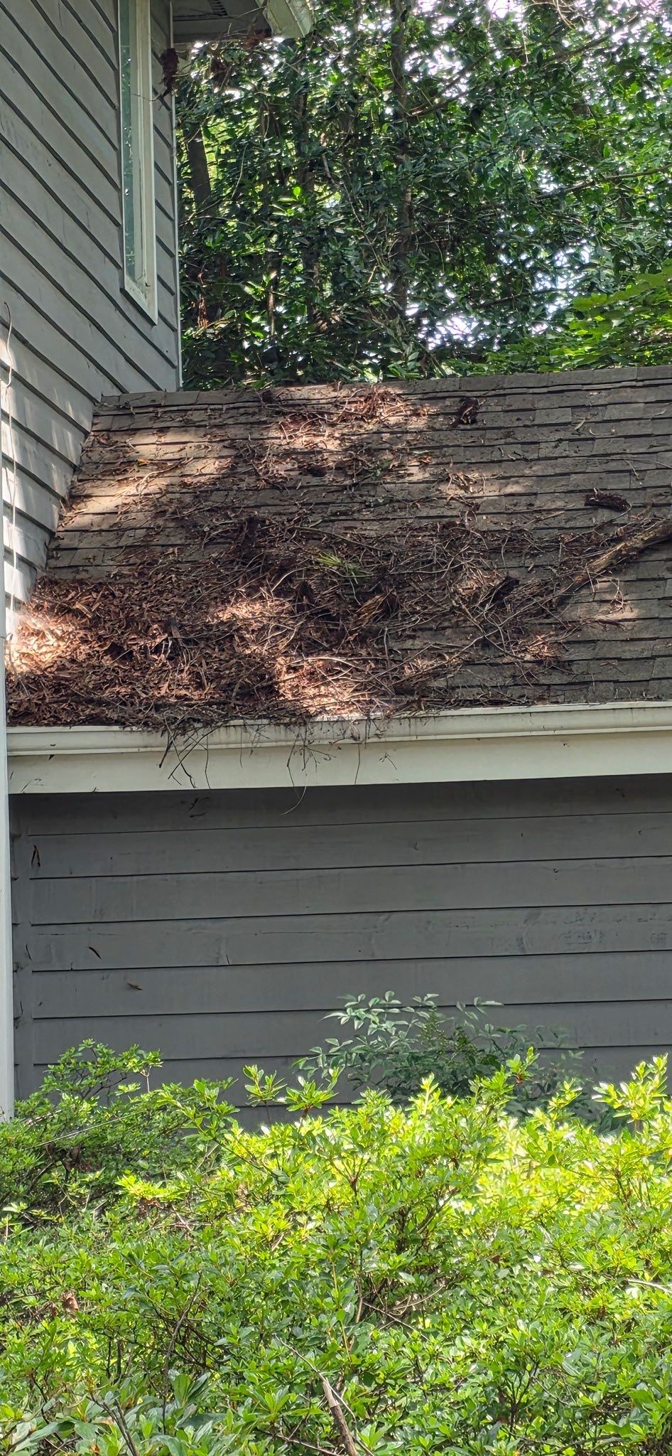 Project in Richmond by Roof Maxx of Midlothian
