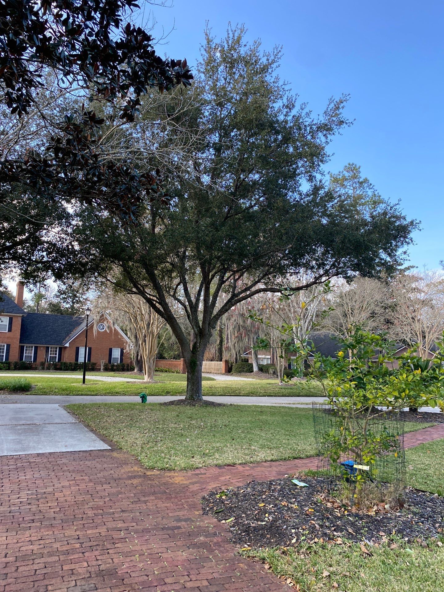 Deerwood Resident | General Landscaping by ProGreen Services