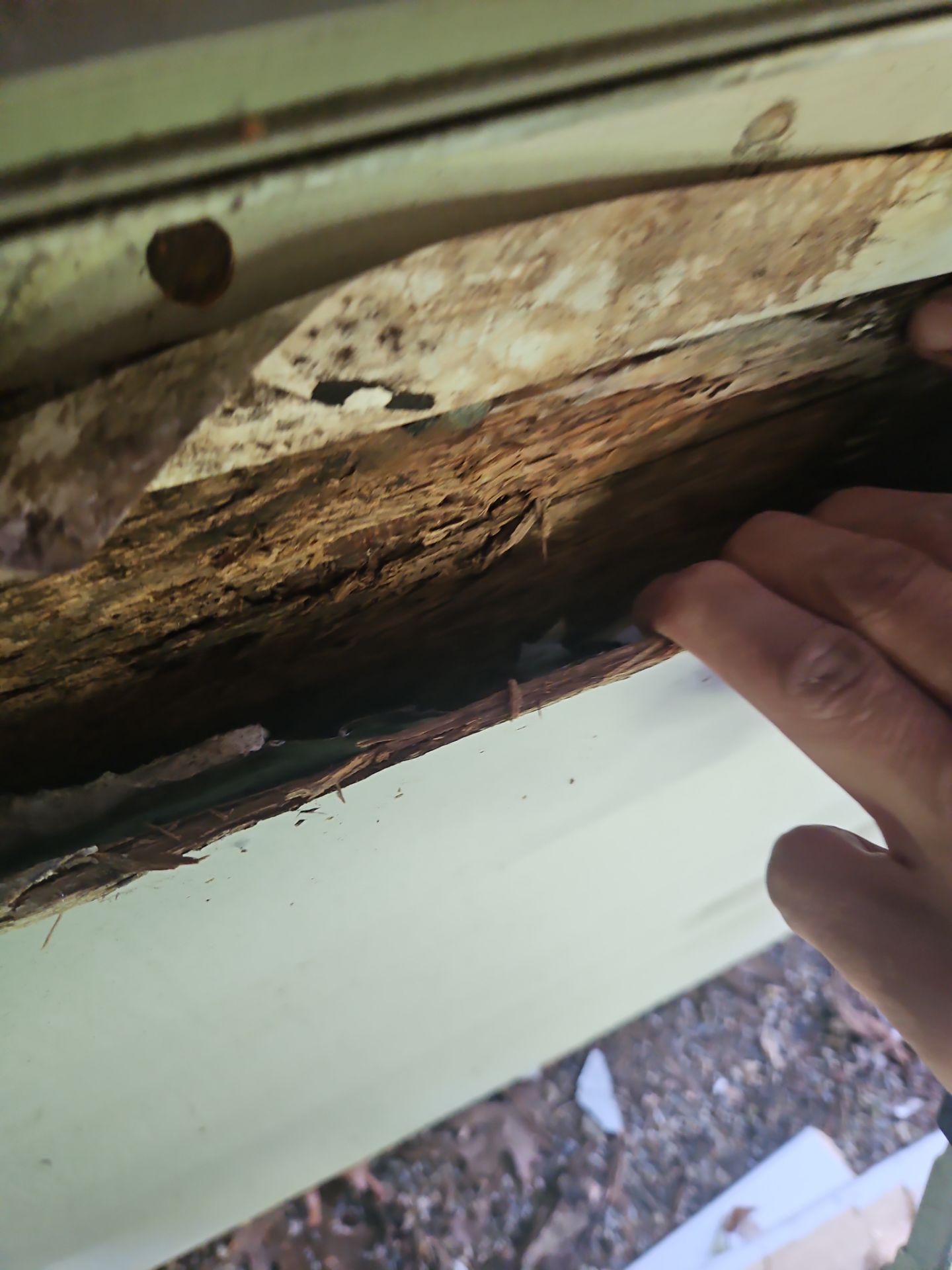 Siding | Concord by Mighty Dog Roofing of Greater Middlesex County