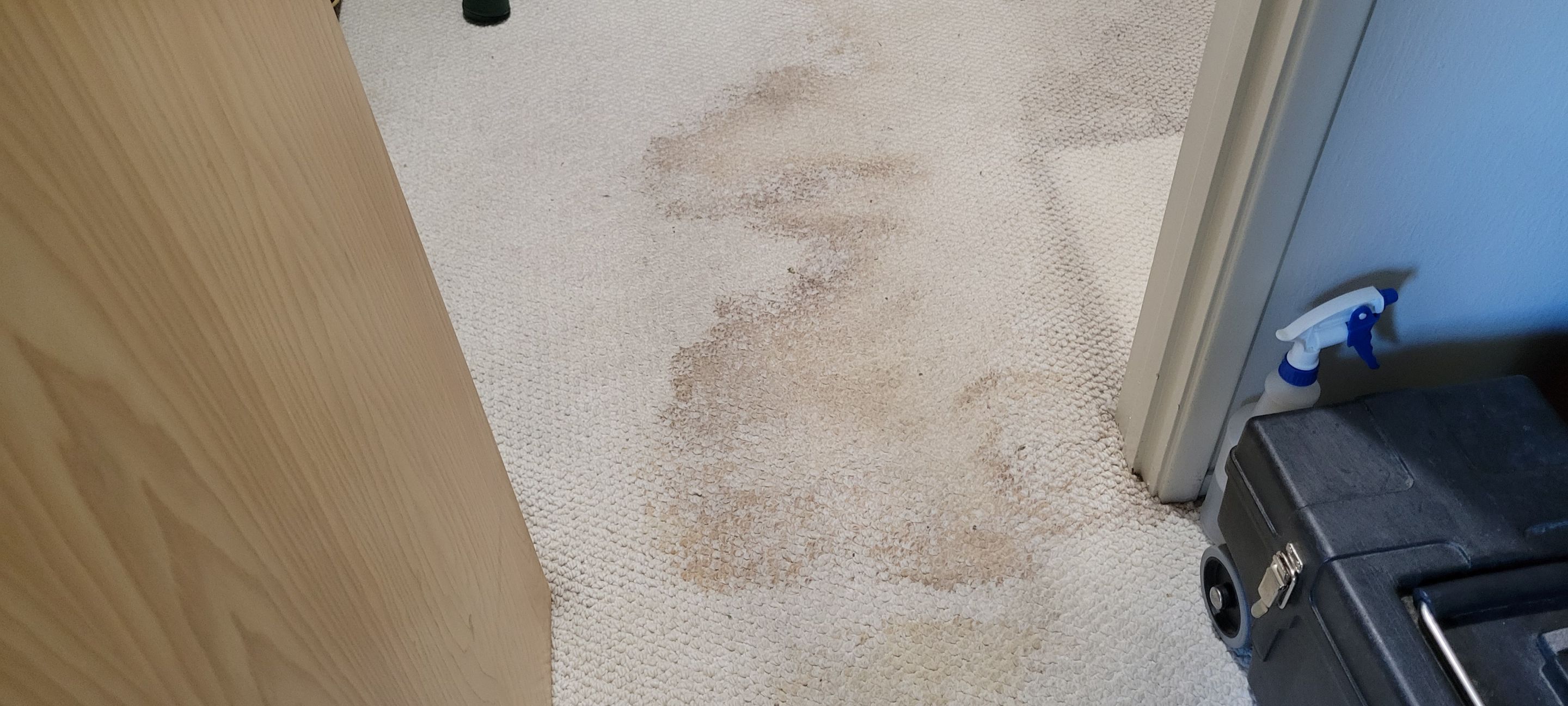 Carpet Restoration after Water Damage by Ardent Carpet Restore LLC