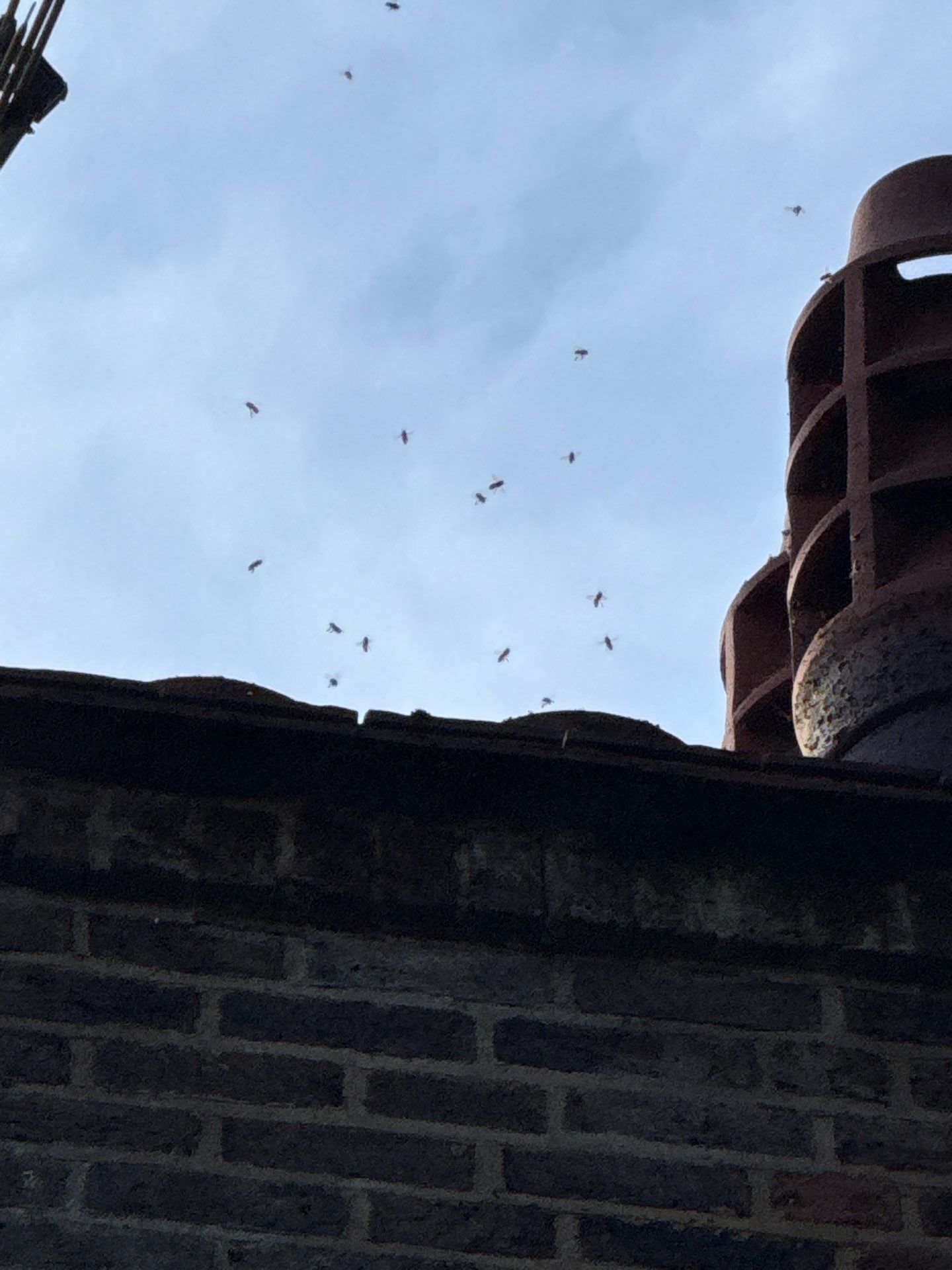 Roof - Driveway Clean -Patio Clean by Ges Exterior Cleaning ltd