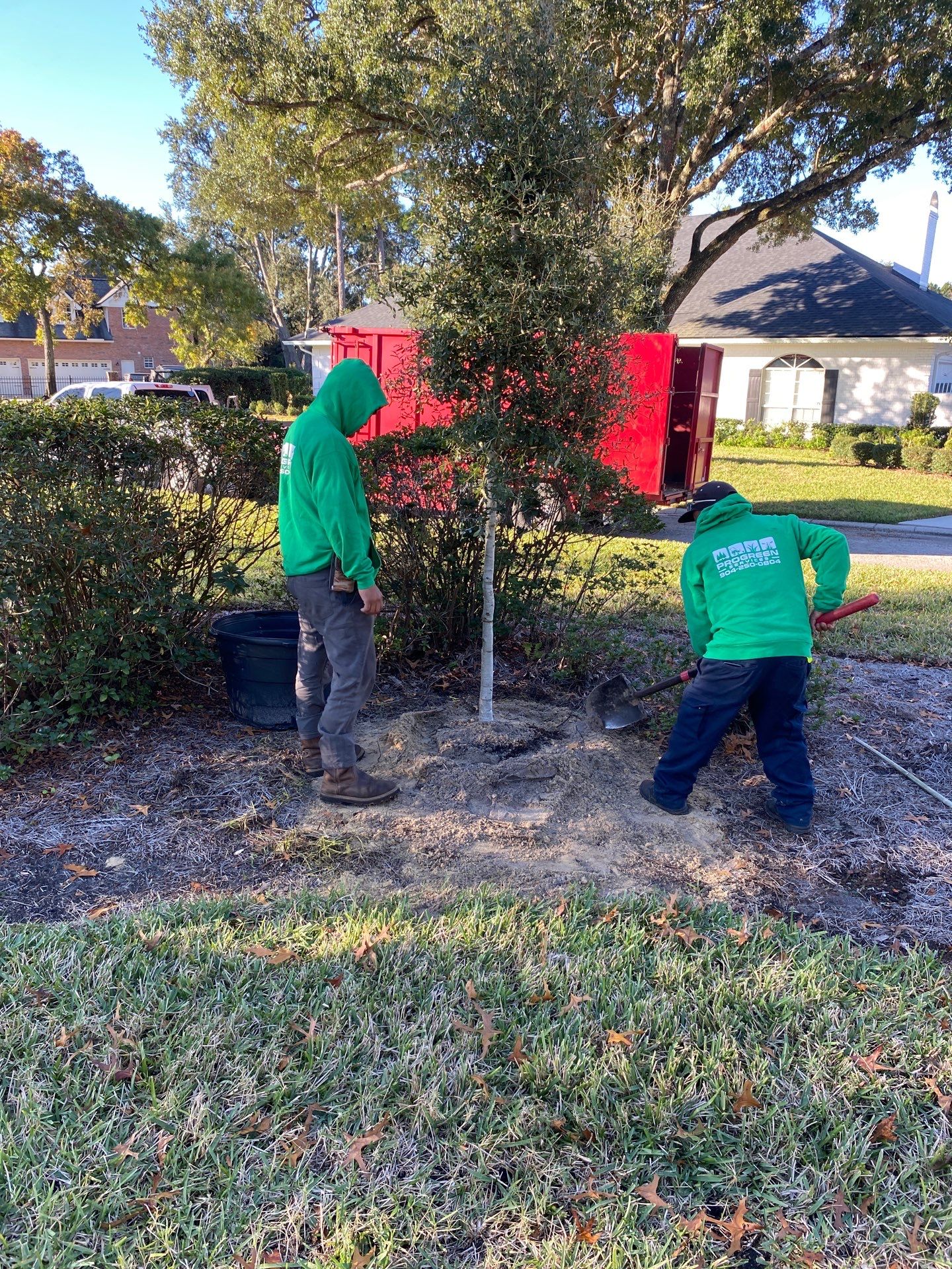 Deerwood Community | Oak Tree Replacement Project by ProGreen Services
