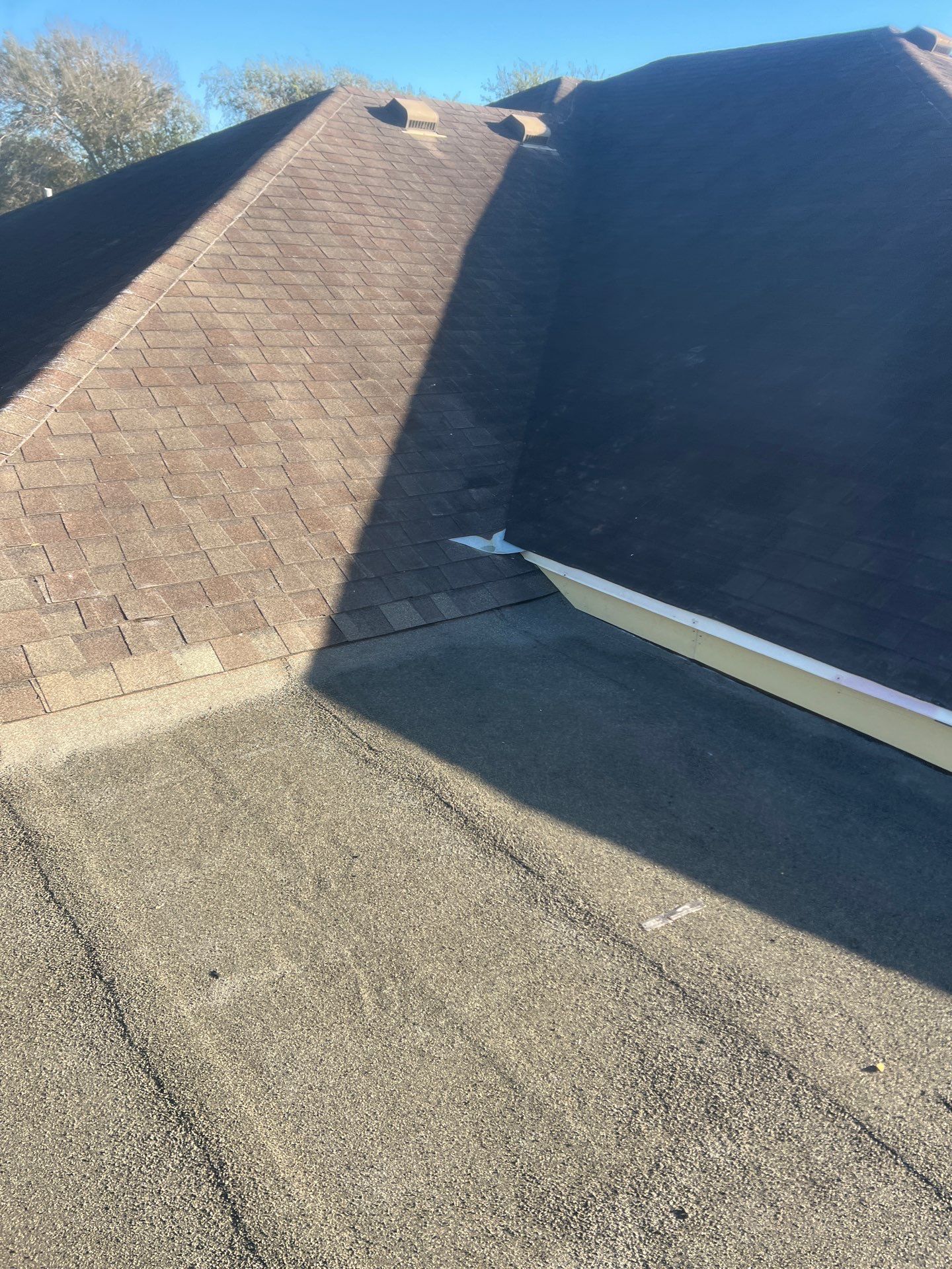 It Ain't Easy getting Shady  by Bayfront Roofing and Construction