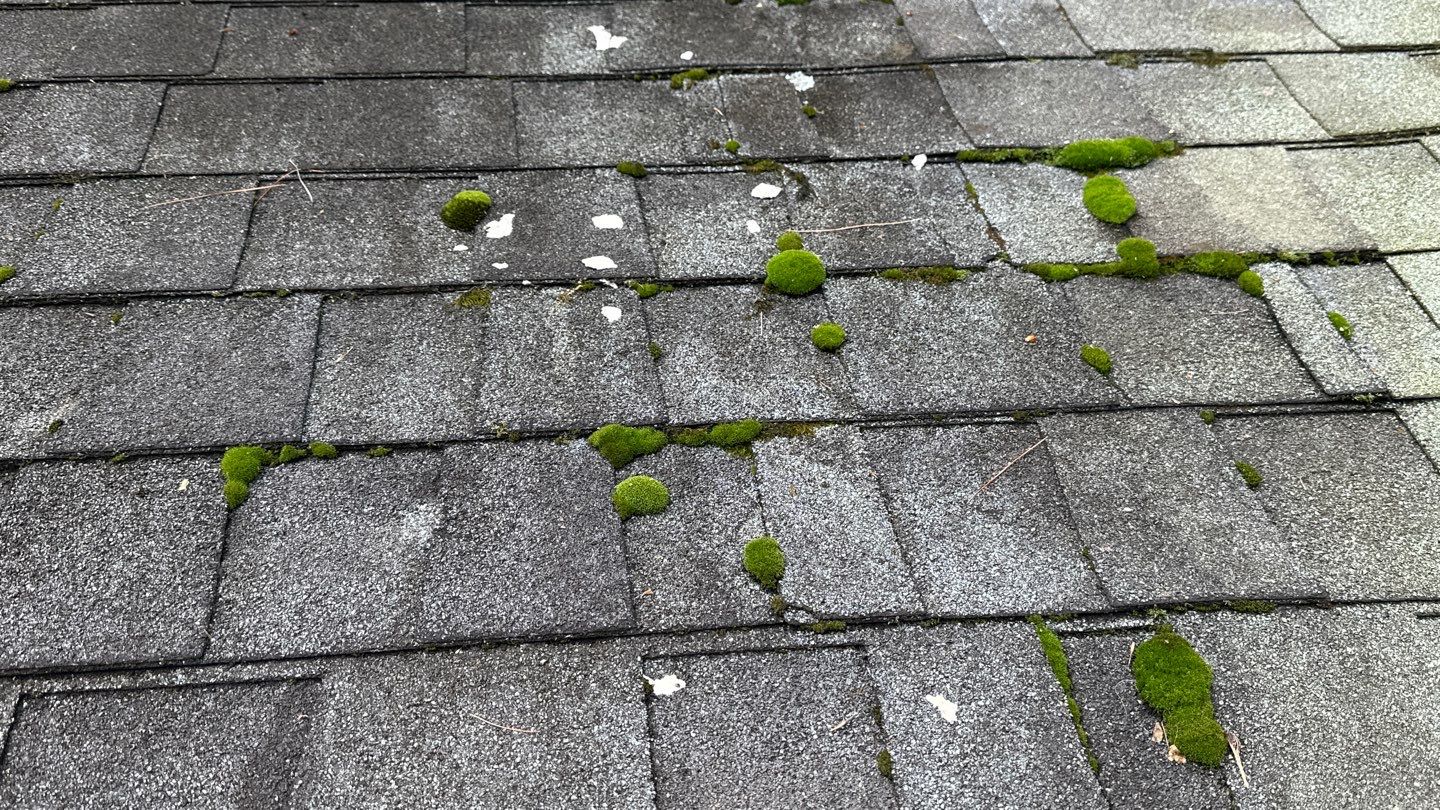 Roof Replacement  by Ascension Roofing & Siding