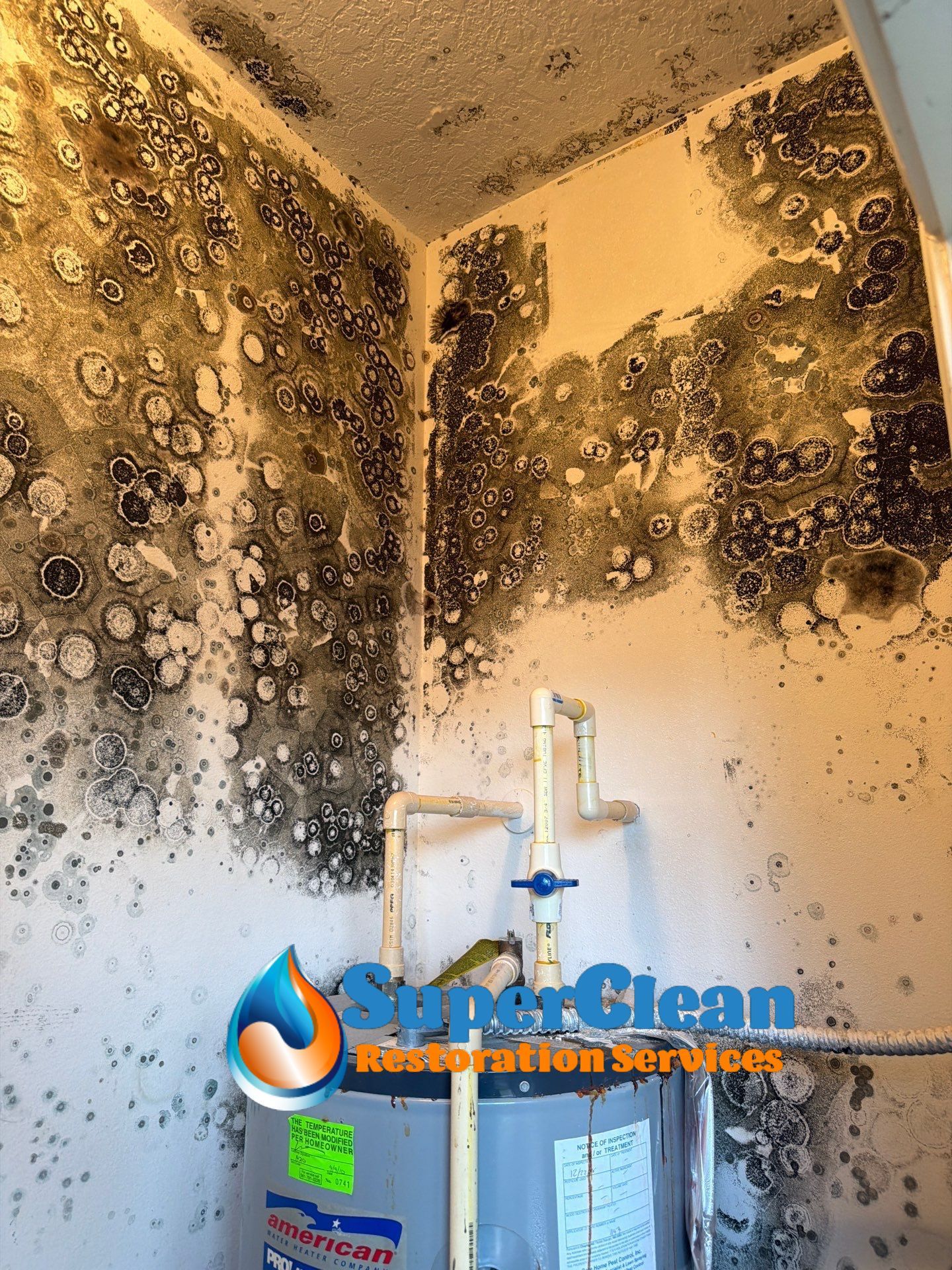 Mold Remediation and Interior Structural Drying in Wellington, Florida by SuperClean