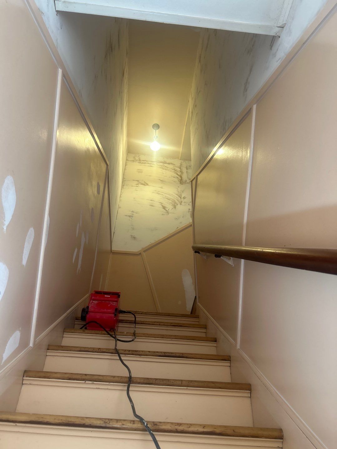 Refreshing an old back hallway for a favorite regular in Manchester's North End by The Persnickety Painters