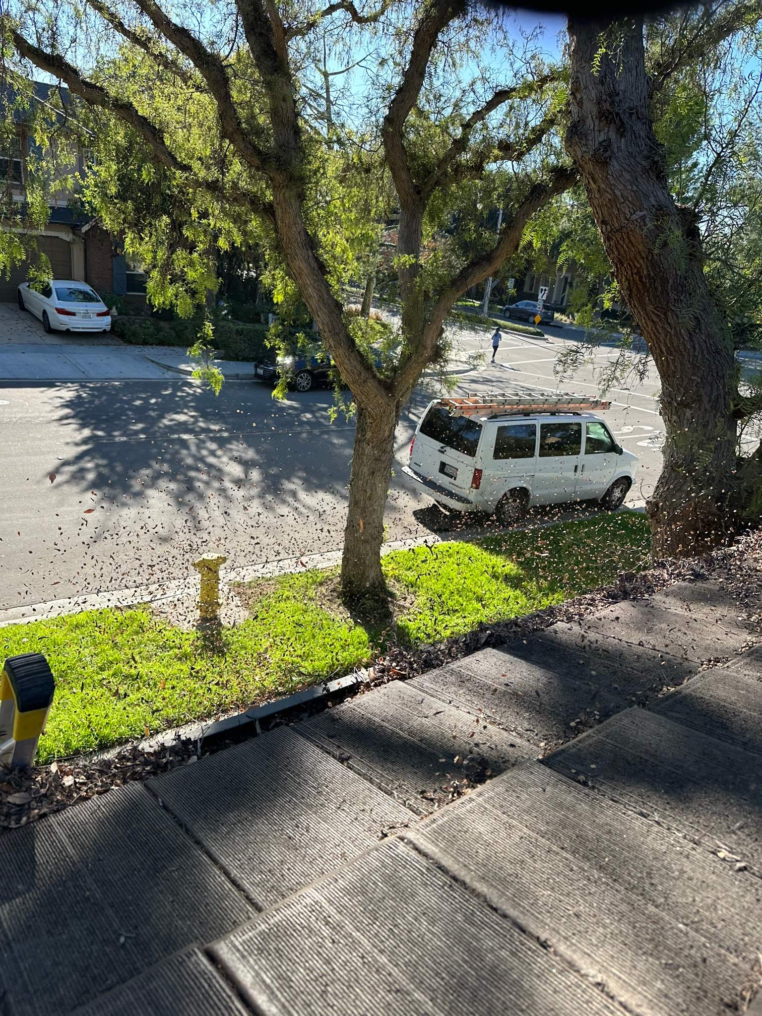 Orange County Gutter Cleaning by Property Cleaning Experts