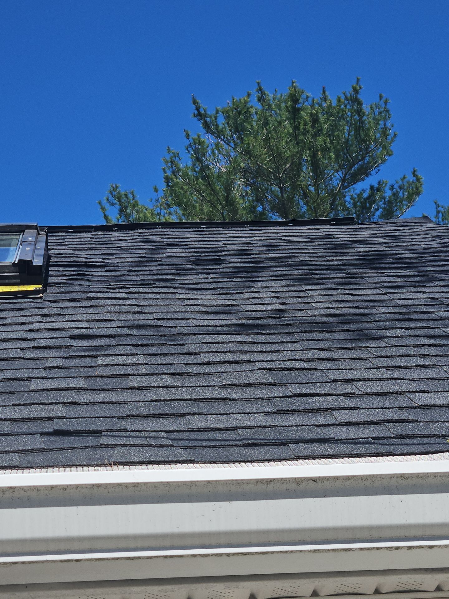 Skylights | Littleton by Mighty Dog Roofing of Greater Middlesex County