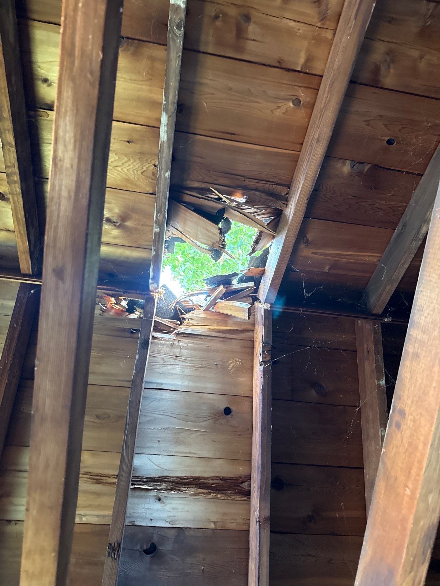 Garage Roof Replacement & Trim Repair by Mighty Dog Roofing of Greater Middlesex County