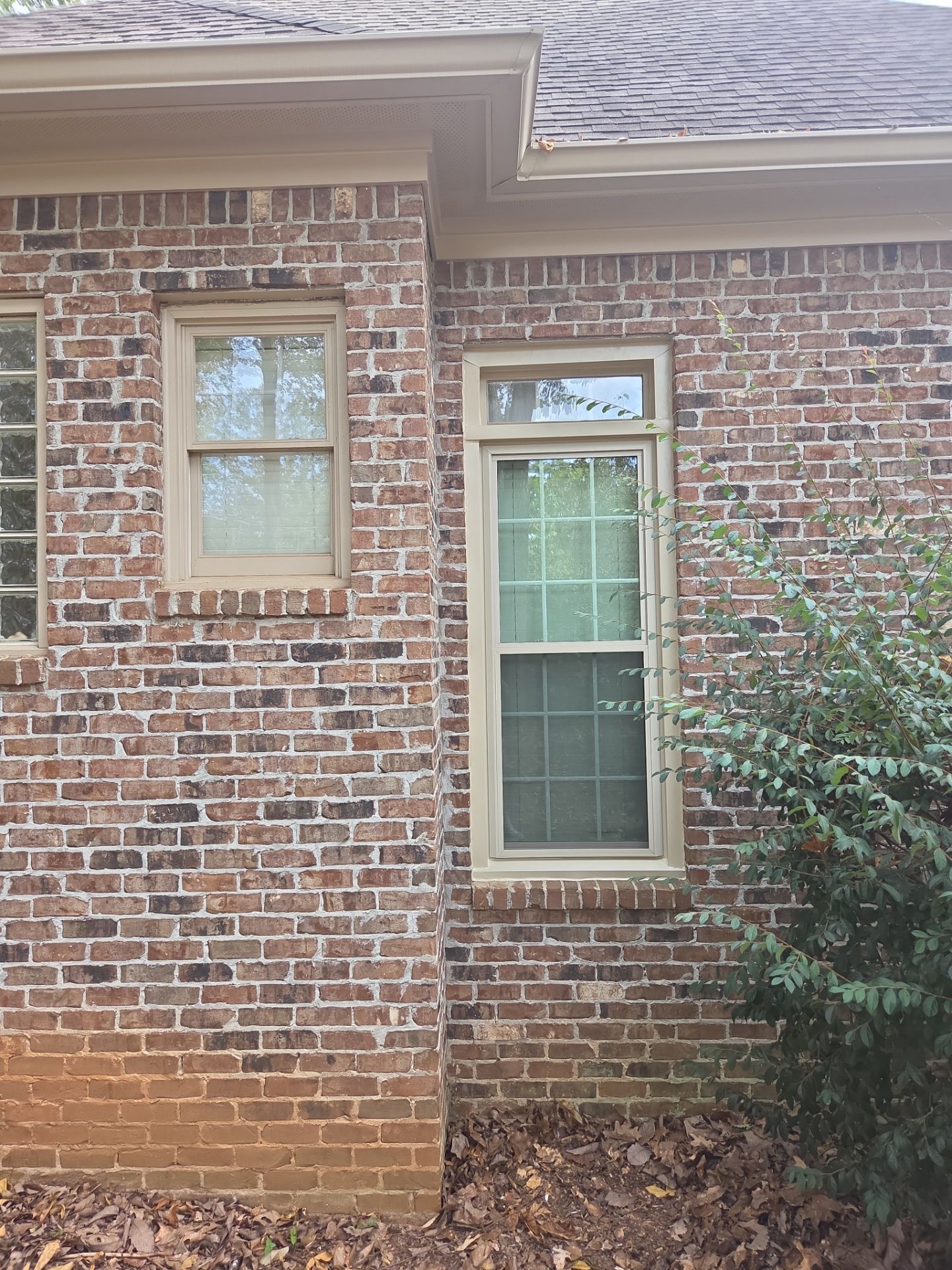 Dew Project in Hoover by The Window Source