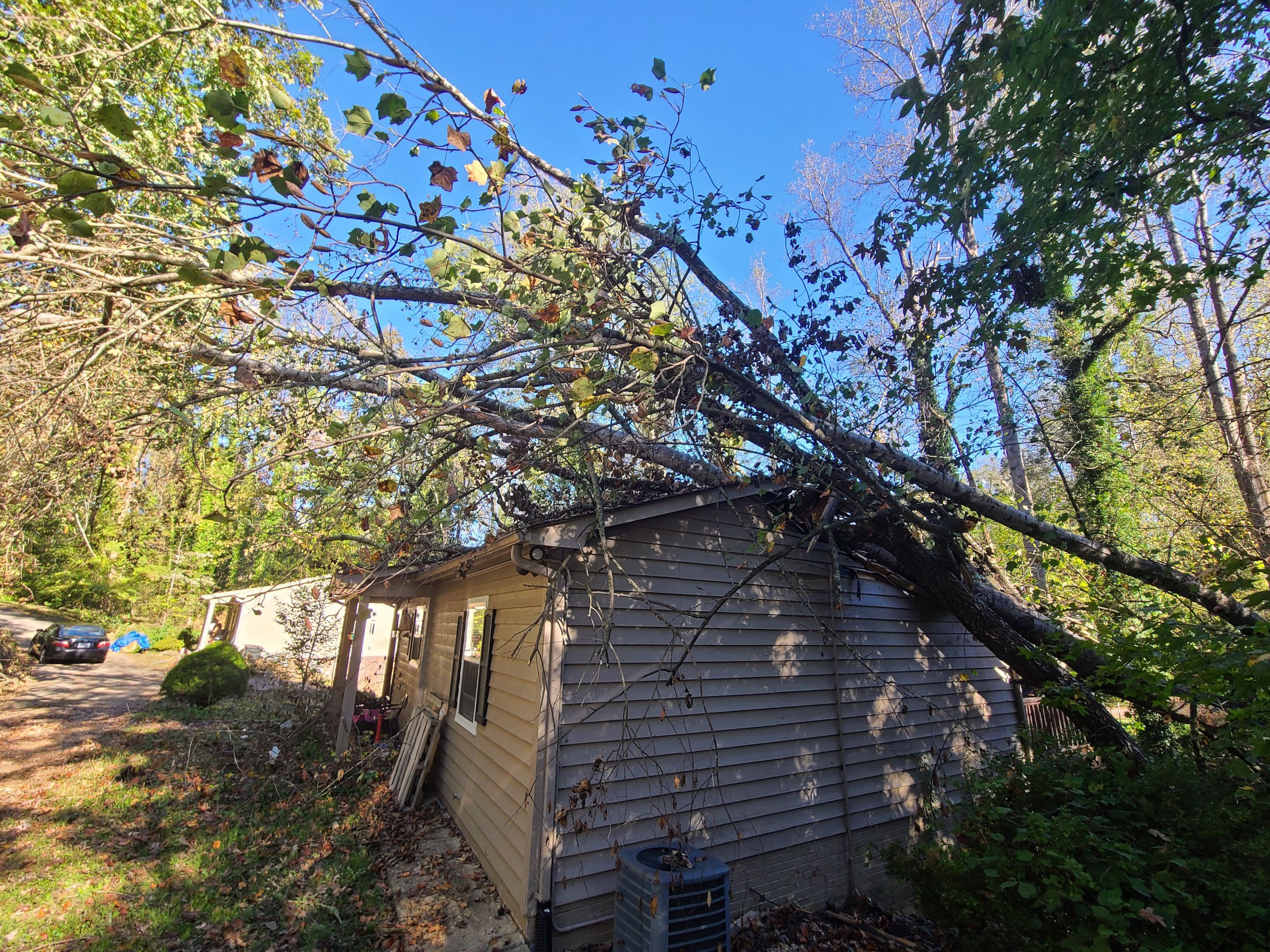 Allison Storm damage repair by BROCK BUILDERS 