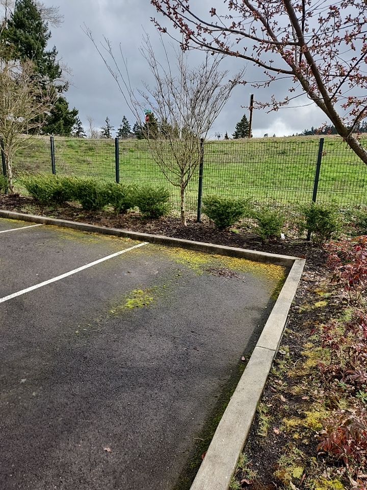 Soft Wash using Soft wash solution by Willamette Outdoor Wash LLC