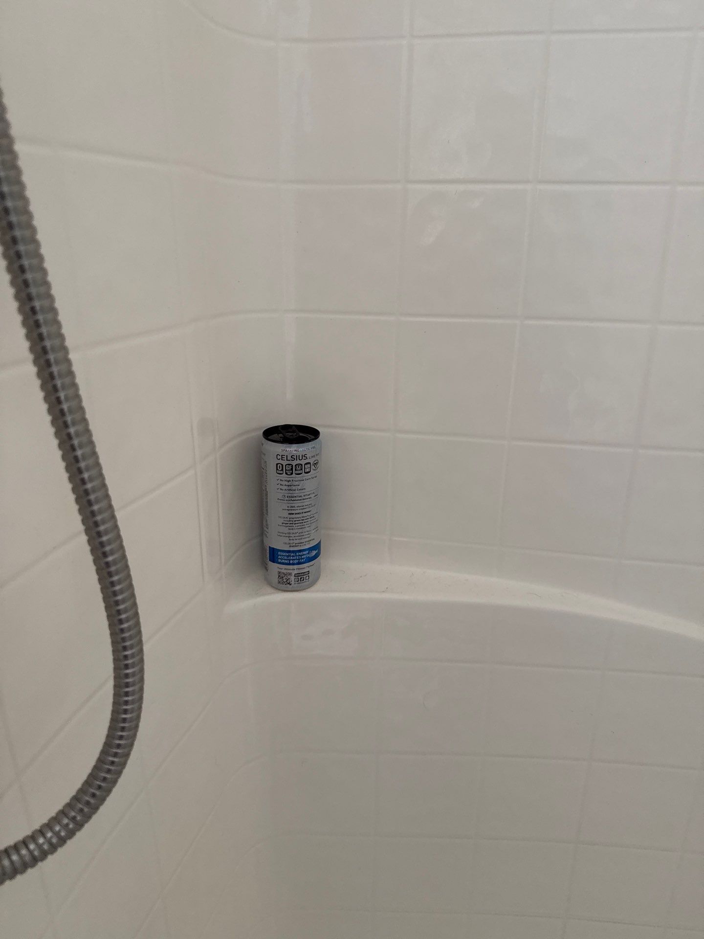 Project in Charlotte by Badger Hauling