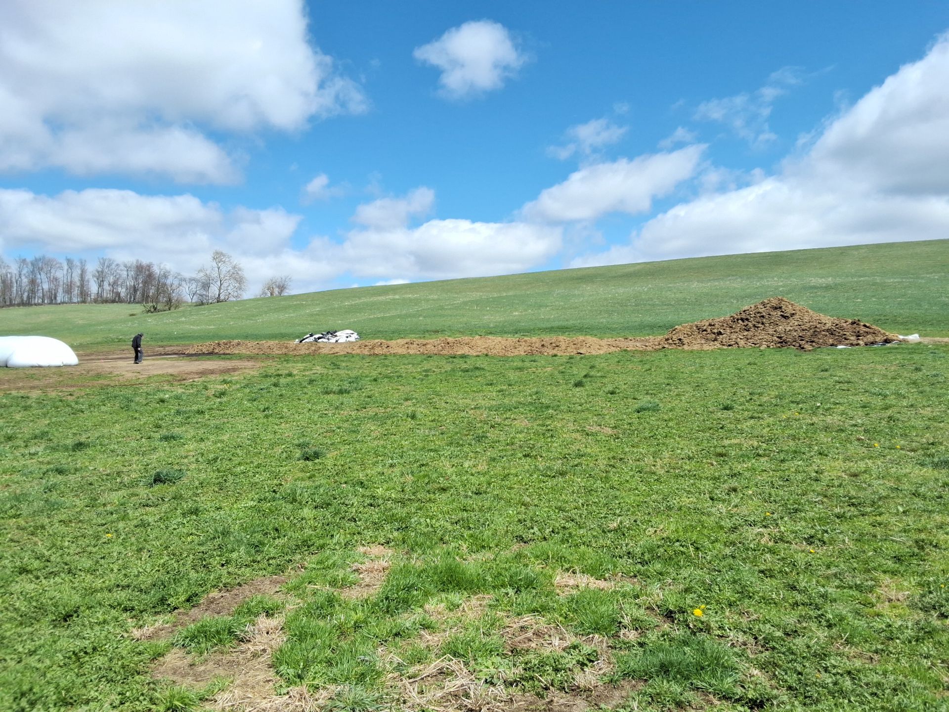 Sterlin Heights Dairy project by Avodah Contractors
