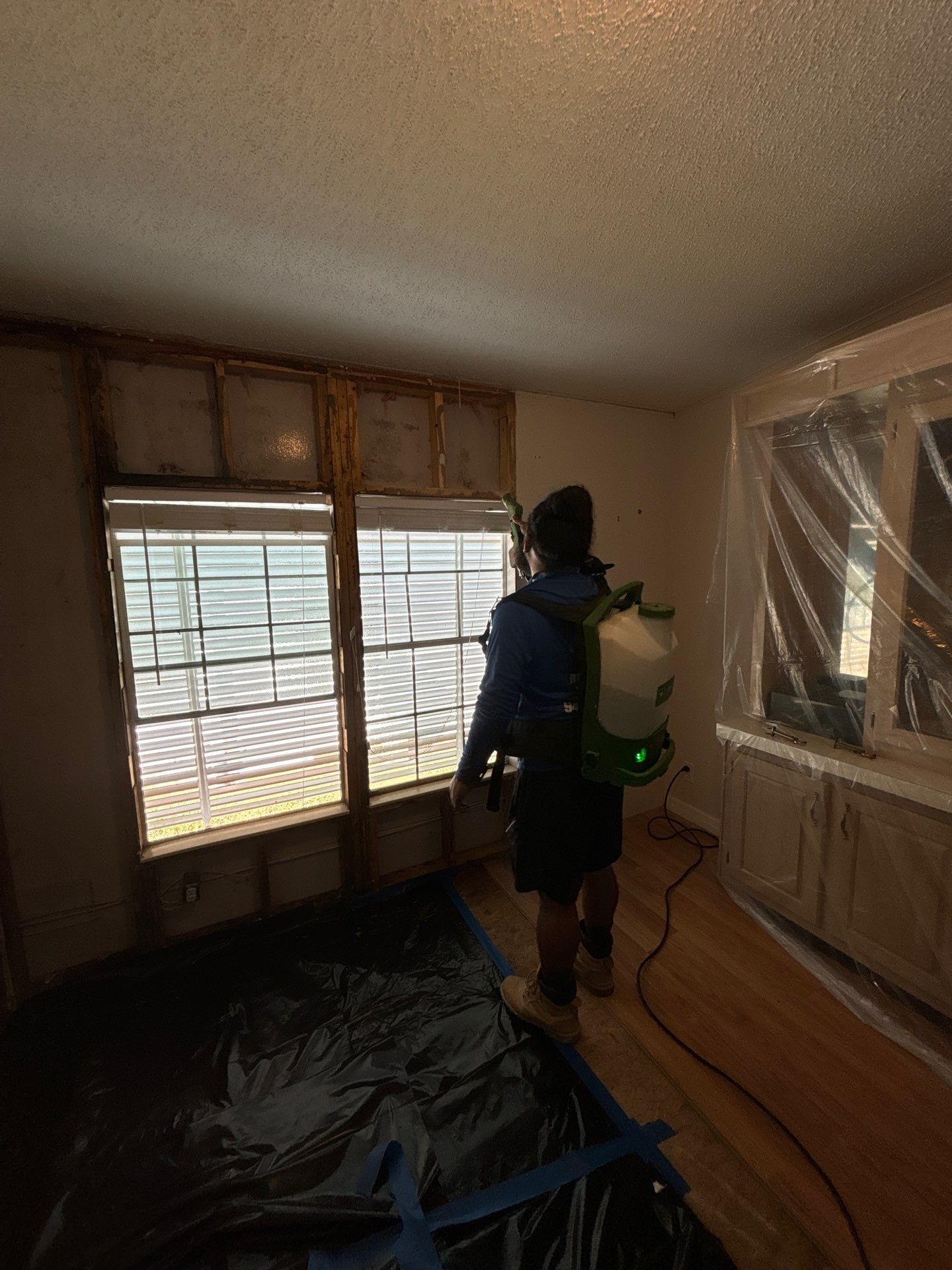 Mold Remediation Palmetto by Ampm Restoration Services 