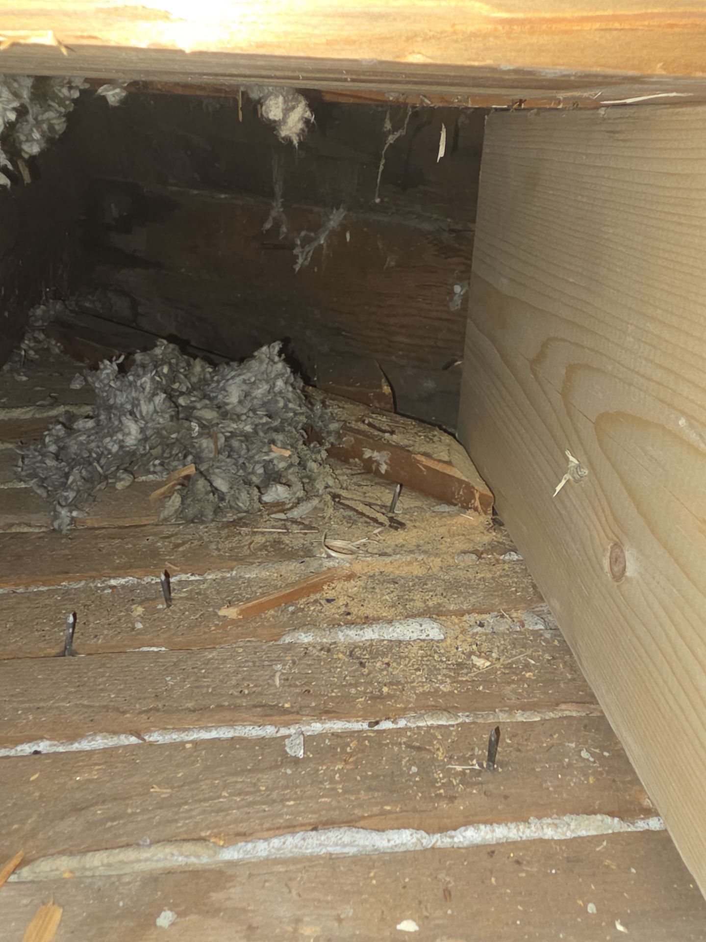 Project in Hamilton by Parkhurst & Kent Construction llc 