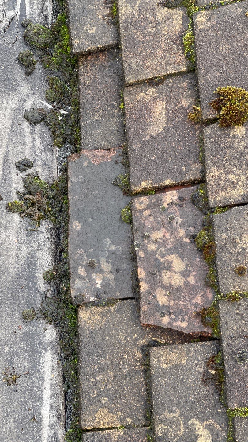Roof Clean - Biocide Treatment using Honda 15lpm Low Pressure Washing Machine by Ges Exterior Cleaning ltd