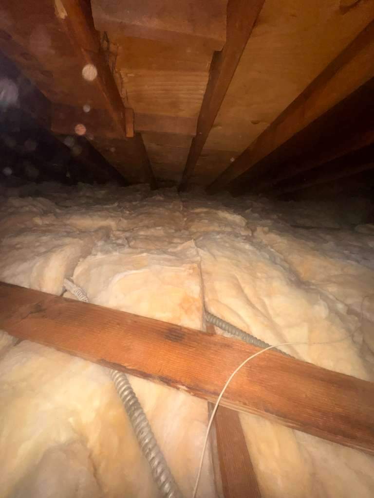 Project by Advanced Attic Solutions by Advanced Attic Solutions