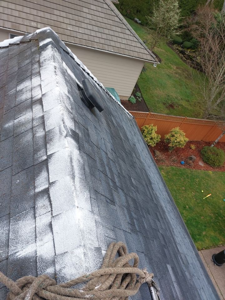 Roof Cleaning  using Moss Treatment  by BEST Roofing & Waterproofing