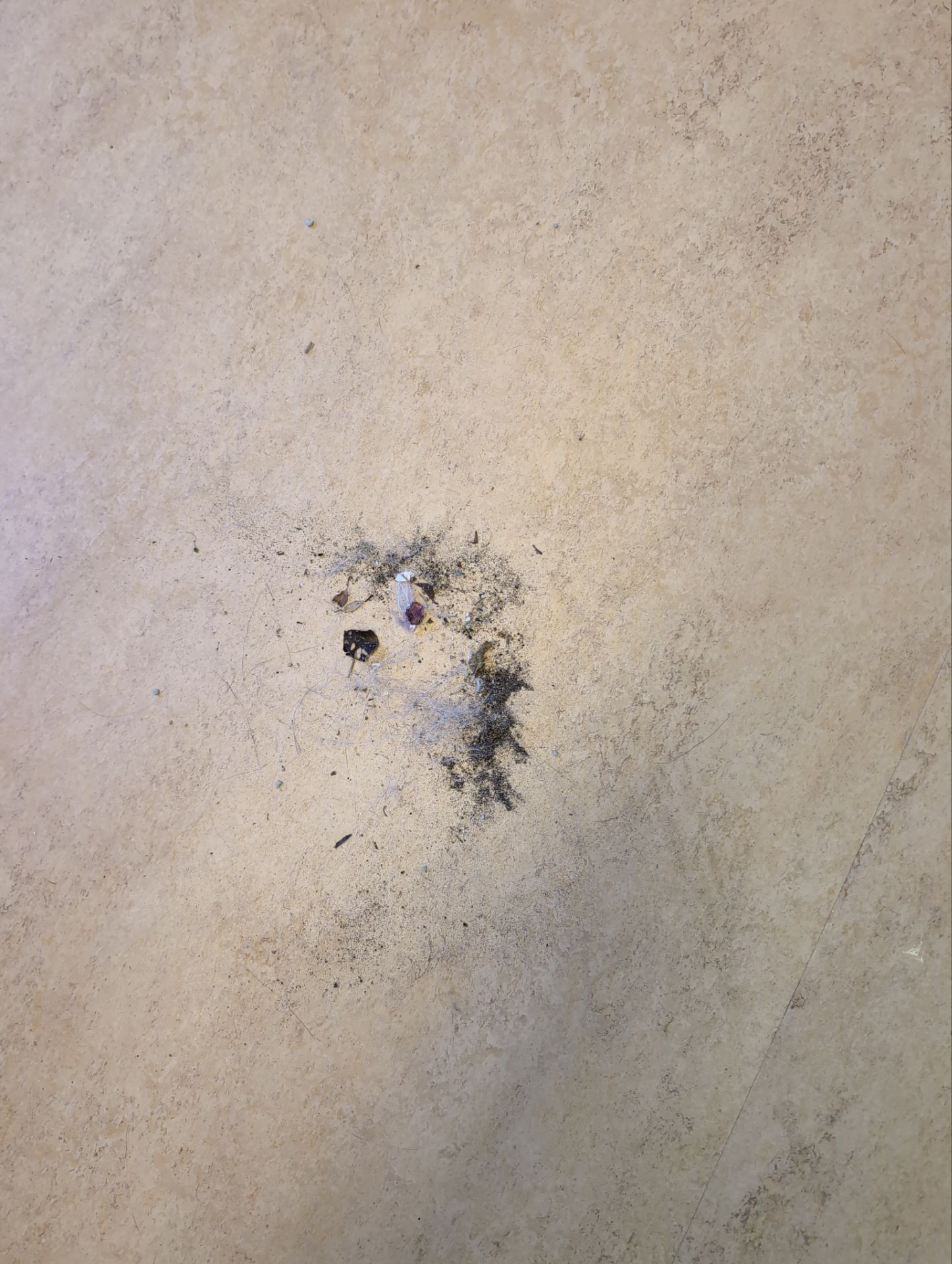 Maid Service in Lake Oswego by Cloud 9 Professional Cleaning Services