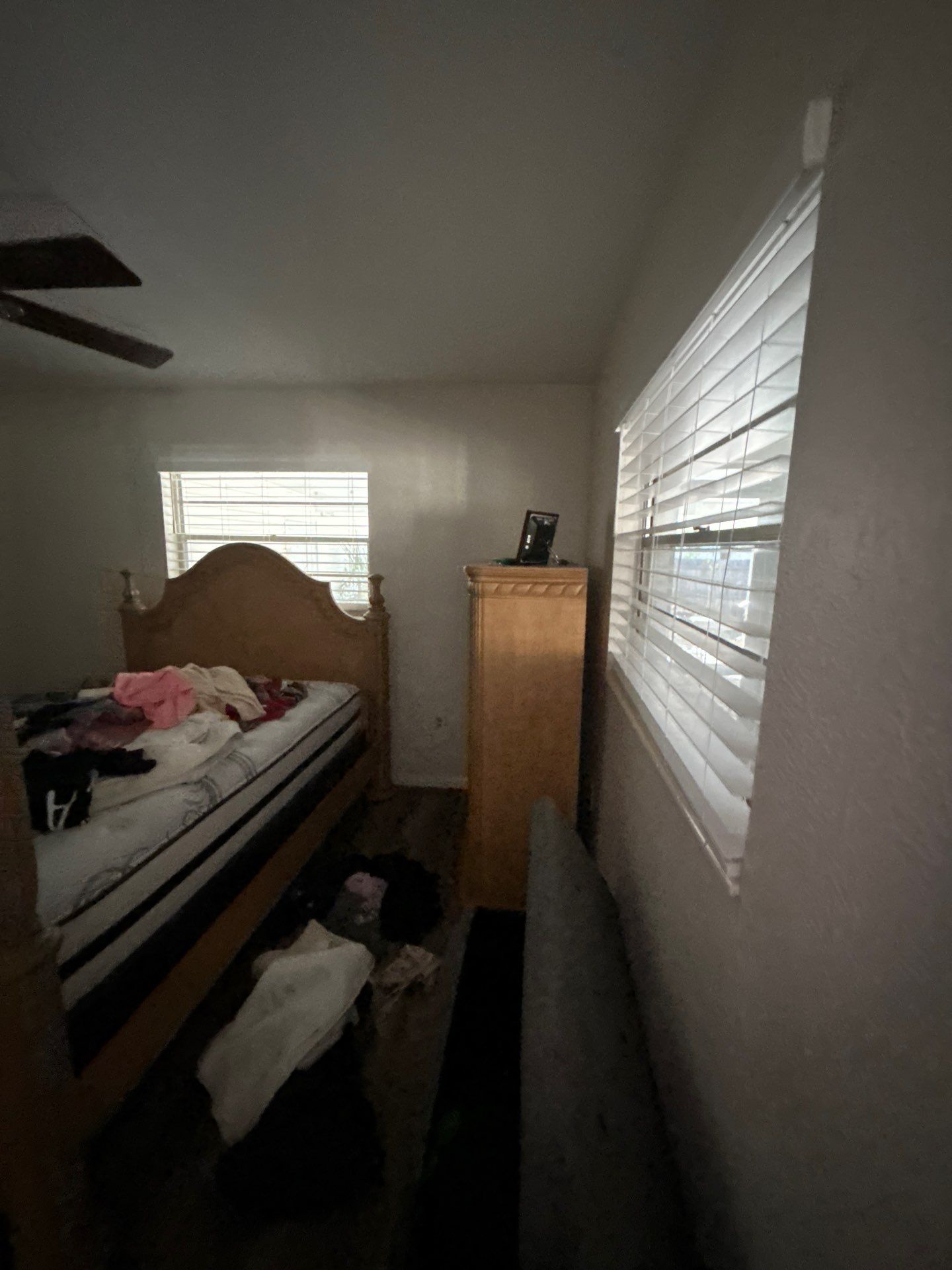 Water Mitigation by Ampm Restoration Services 