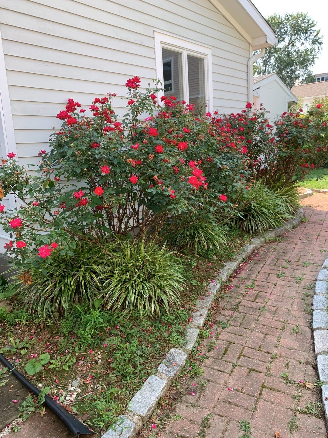 Residential Roofing Repair using Owens Corning TruDefinition by A Plus Exterior