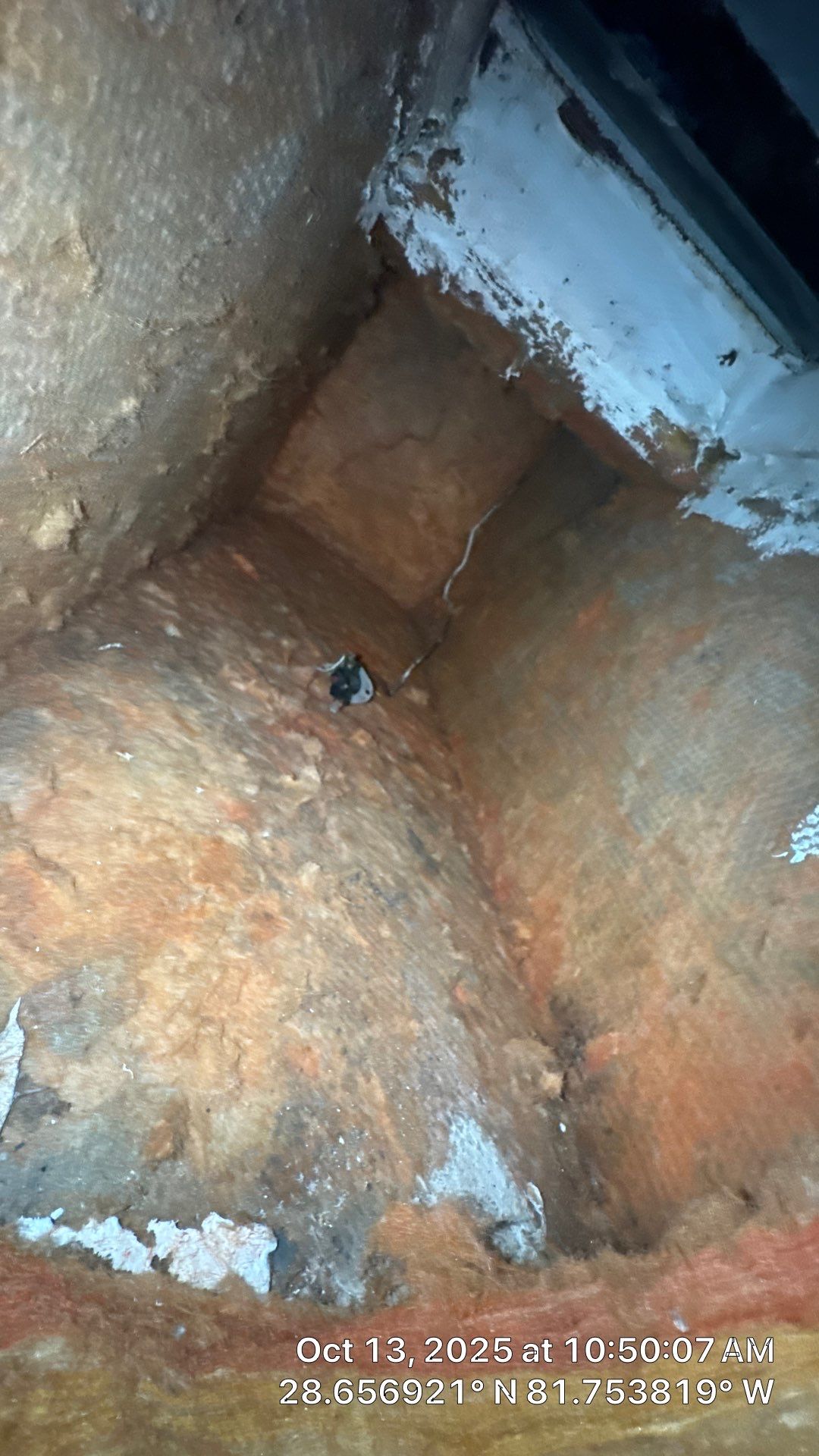 Air Duct Cleaning in Clermont by Hygienic Air, Inc