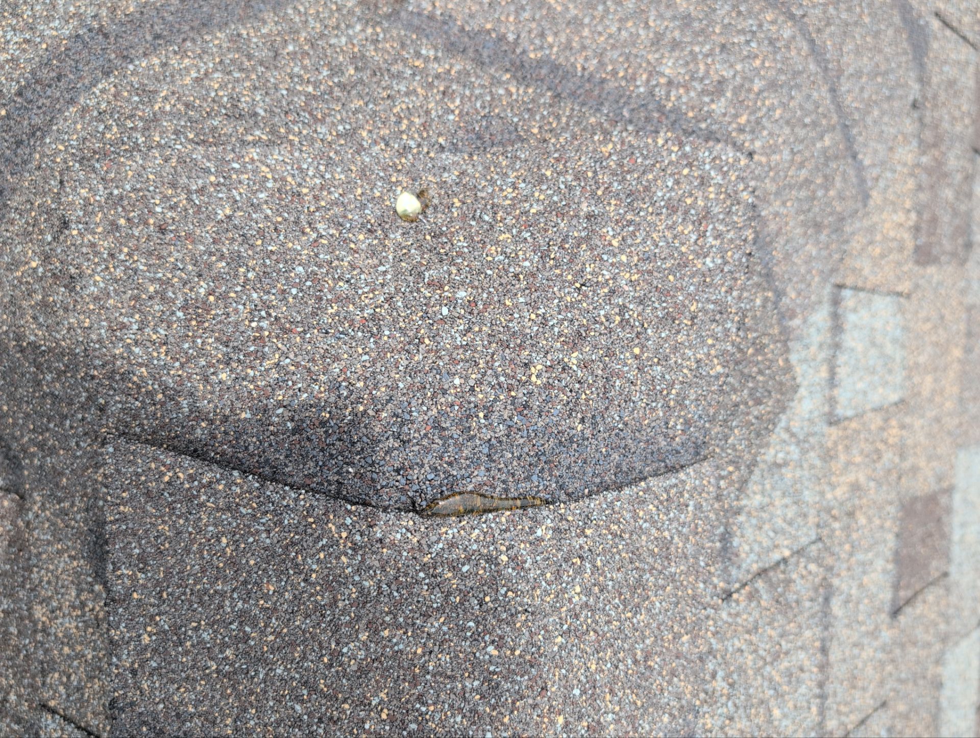 Roof Replacement in Cape Fair by Table Rock Design + Build