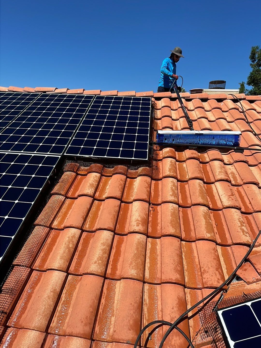 Solar Panel Bird Proofing using Critter Guard Mesh by All One Solar Shine