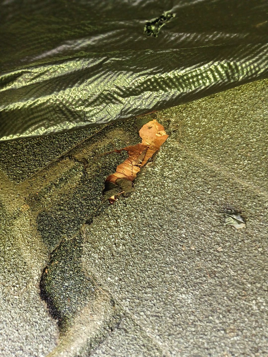 Residential Roofing Repair using Owen's Corning Duration (Lifetime) Shingles by Roof Repair Services LLC