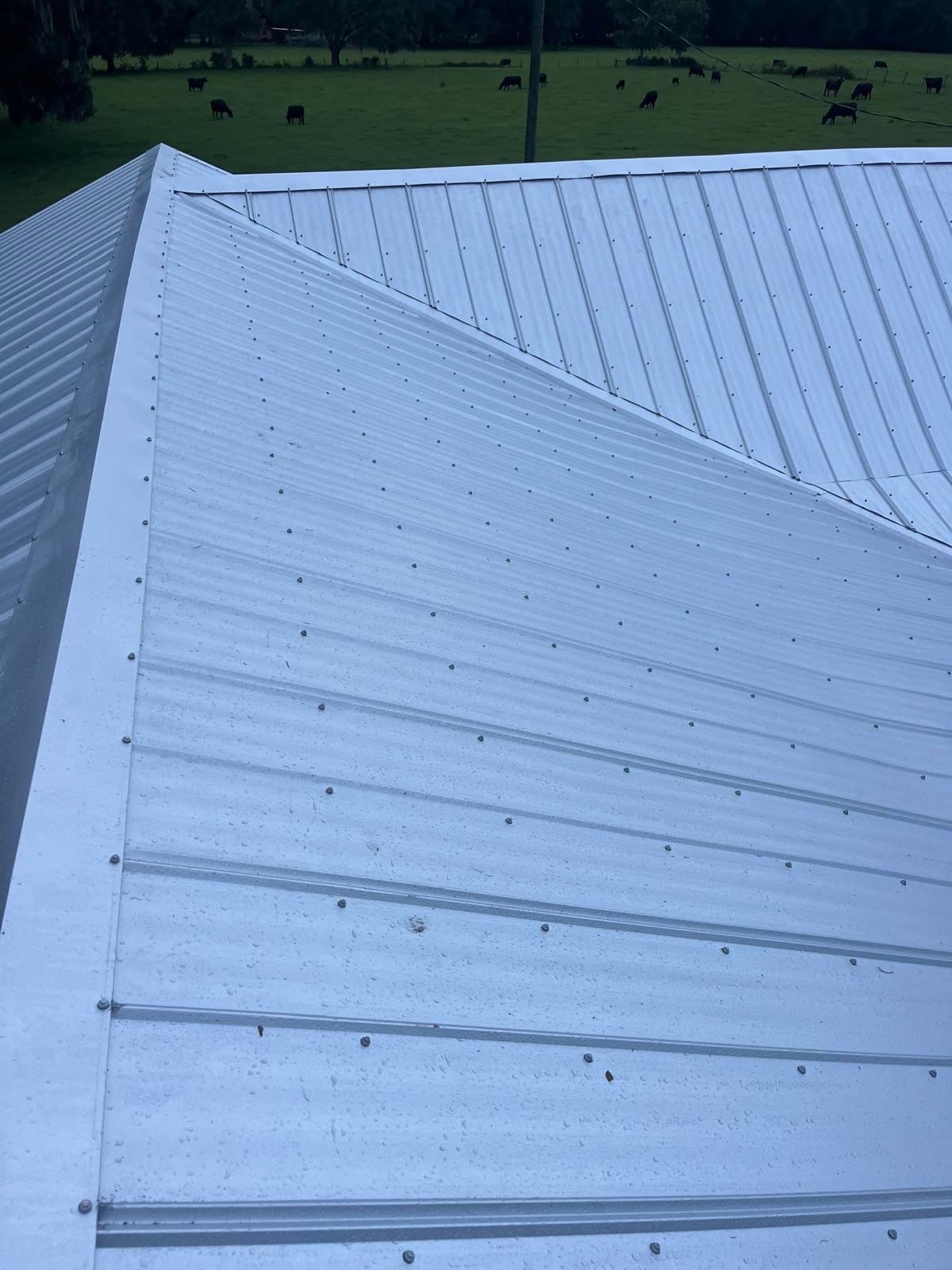 Metal Roofing Company in Micanopy, FL by Brehm Roofing