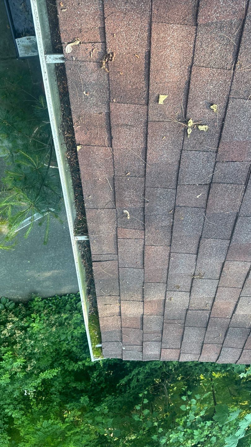 Very overdue gutter cleaning and screening by Above All Gutters 