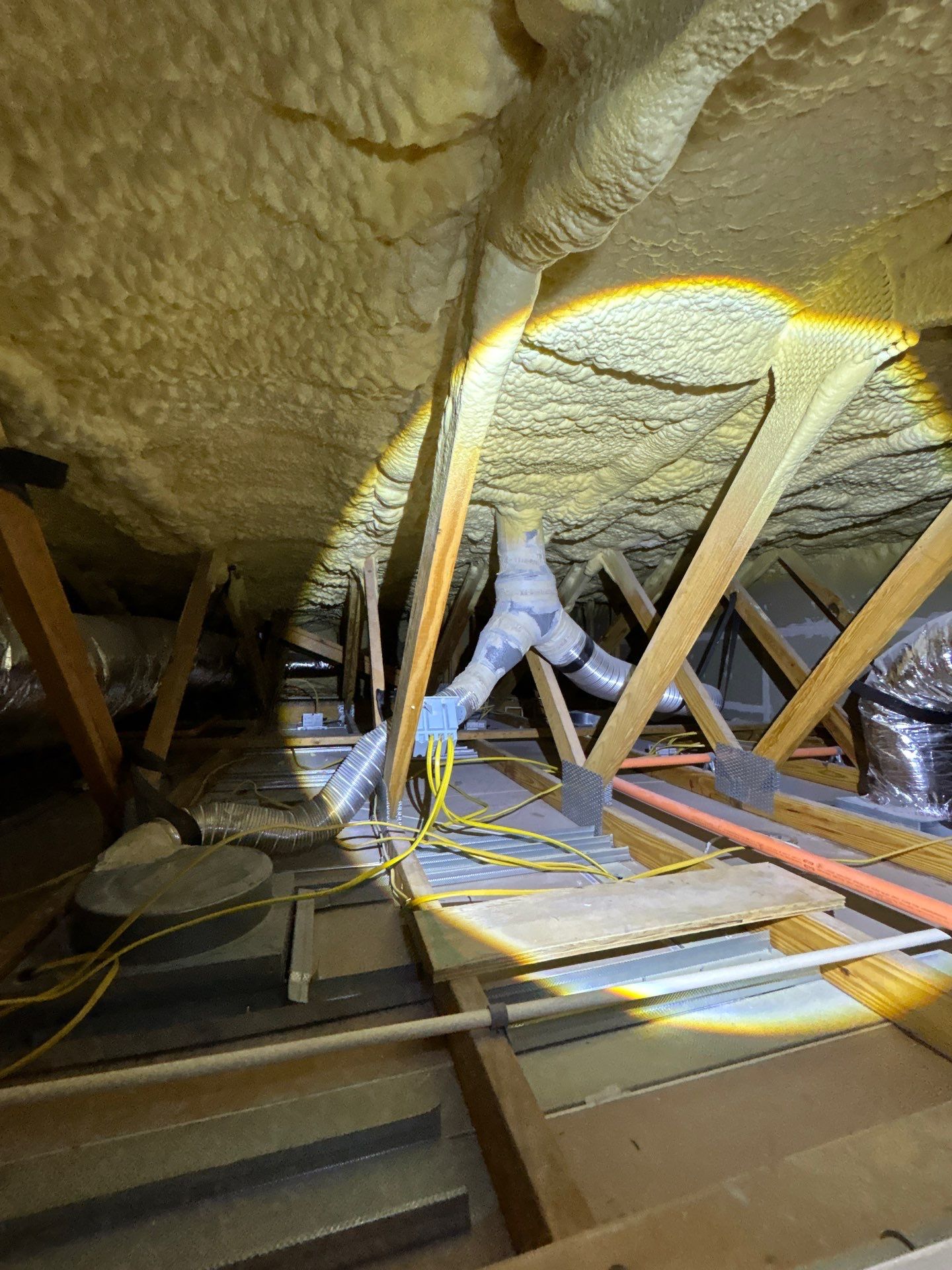 Mold Damage Restoration by Ampm Restoration Services