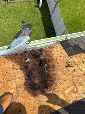 Roof Repair Richmond
